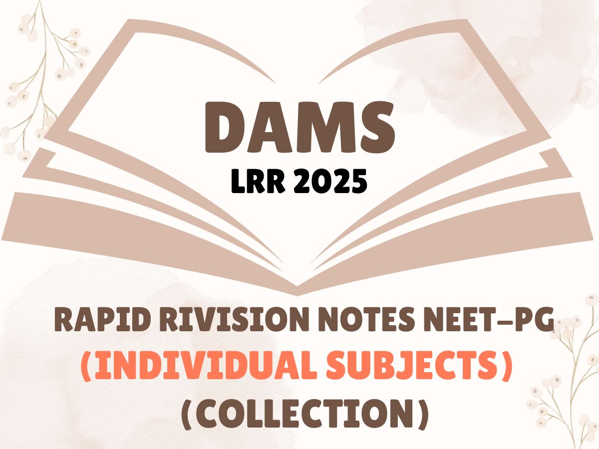 DAMS LRR 2025