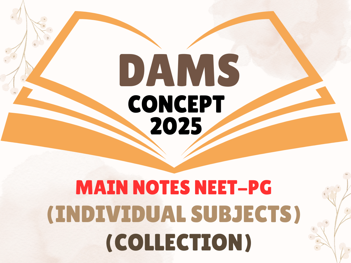 DAMS CONCEPT BOOK 2025