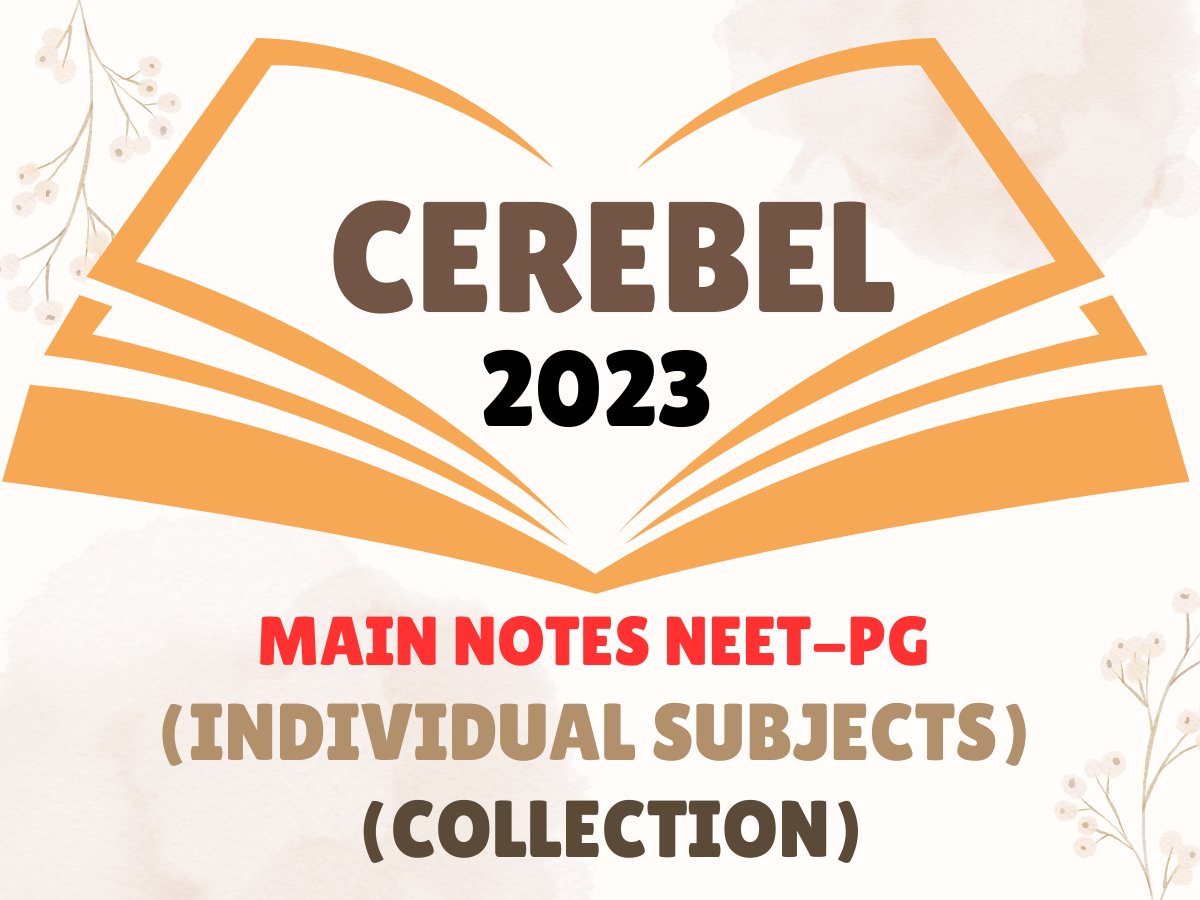 Cerebel Notes 2023 - PrintDoc