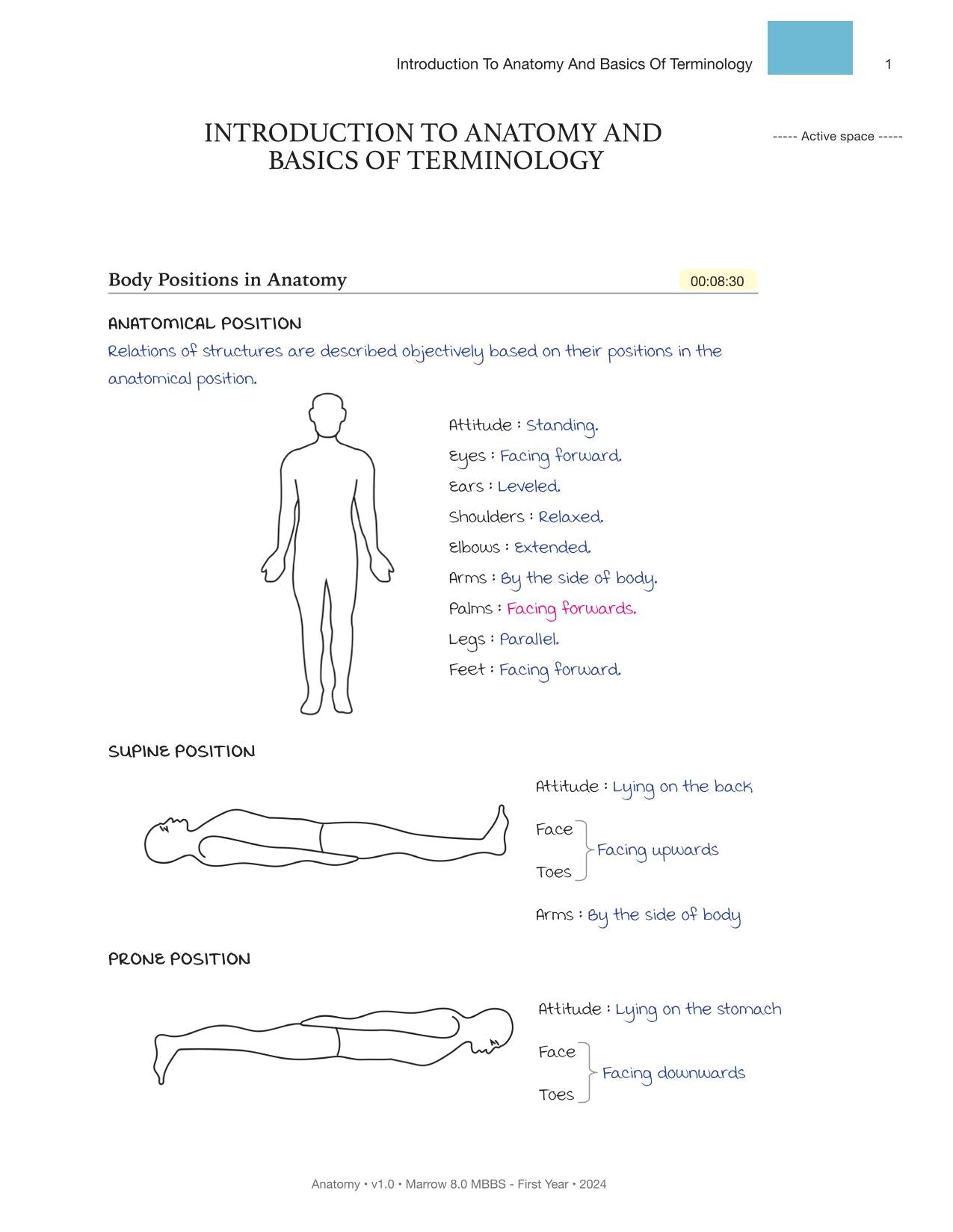 Anatomy M.8 MBBS First Year Notes in Colour for NEET-PG (New Offer)