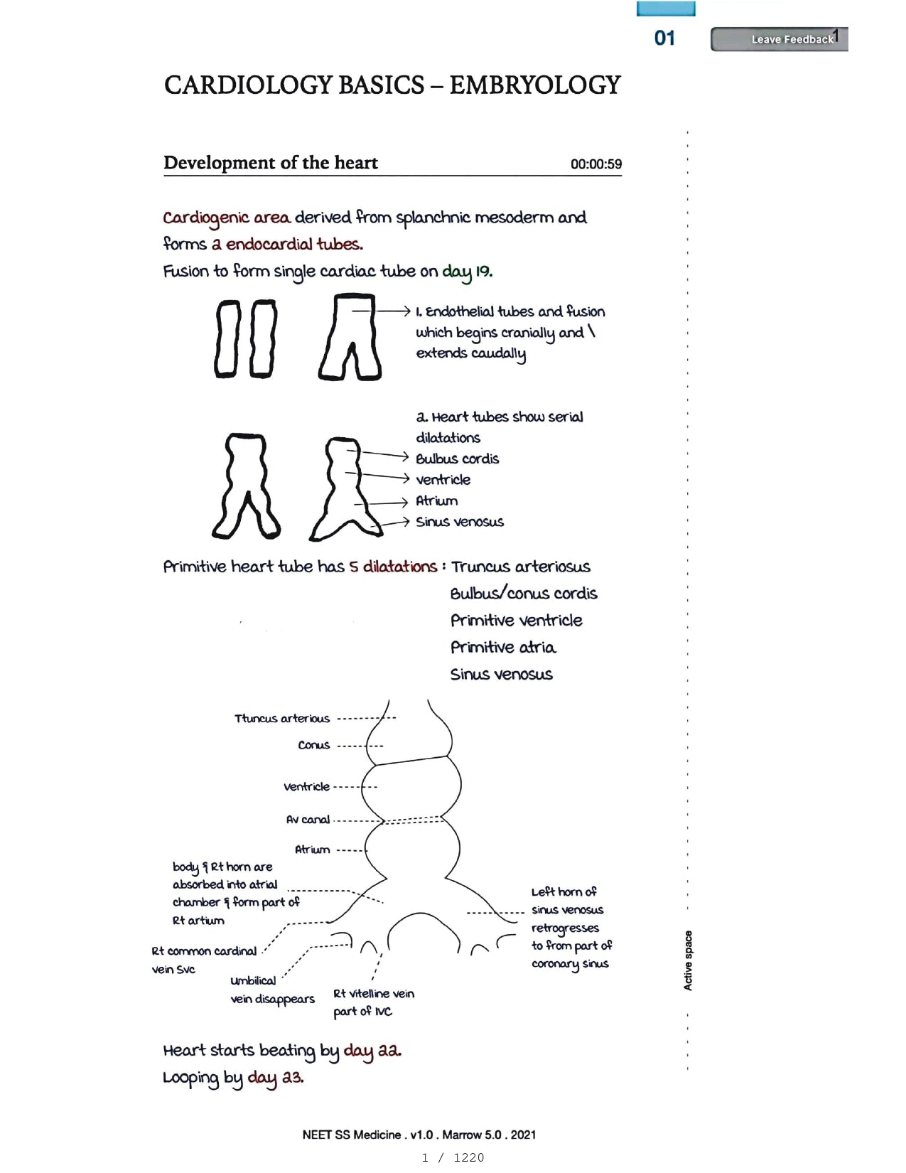 Medicine Neet SS - CARDIOLOGY