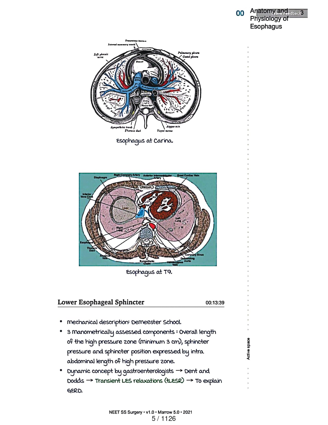 Surgery Neet SS - Gastro Surgery