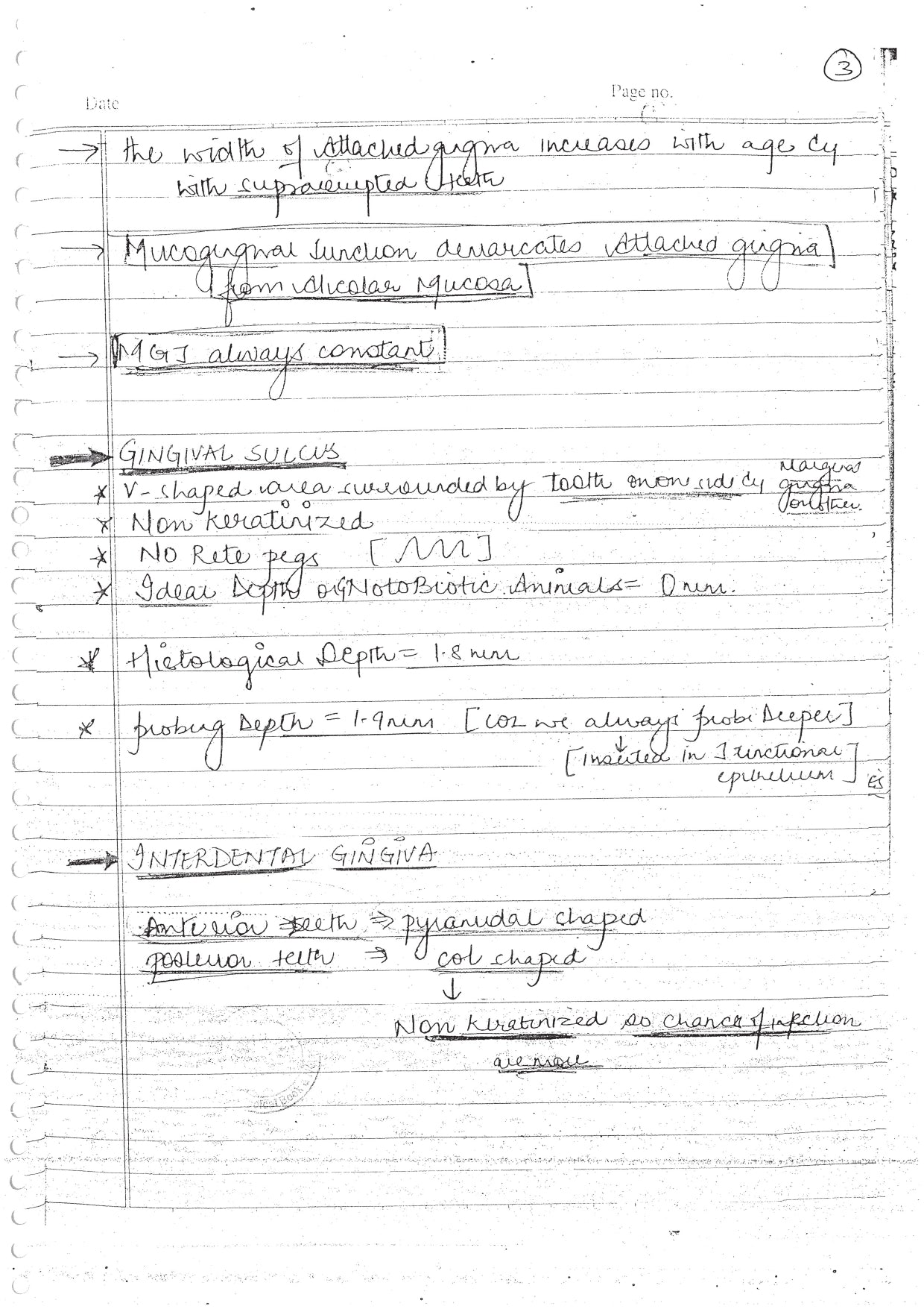 PERADONTIUM - BDS Dental Notes