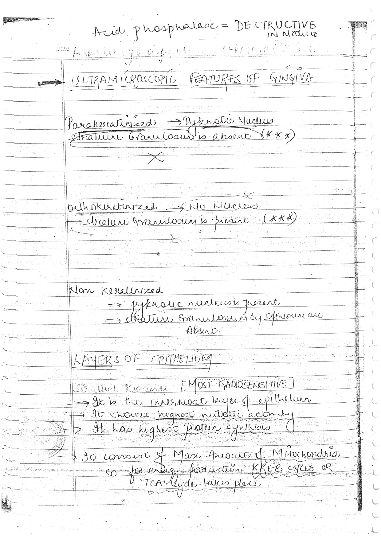 PERADONTIUM - BDS Dental Notes