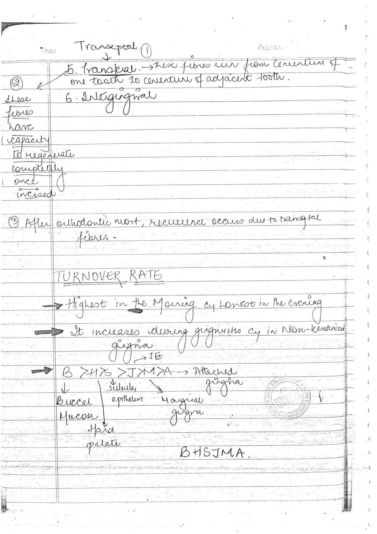 PERADONTIUM - BDS Dental Notes