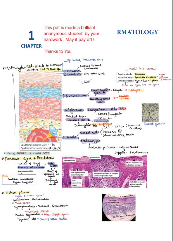 BTR FULLY ANOTATED BY DR. ZAINAB VORA (New Offer)