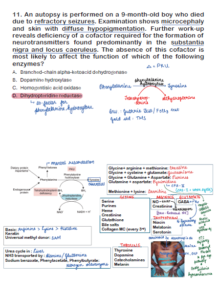 BTR MEGA BONUS ANNOTATED BY DR. ZAINAB VORA (New Offer)