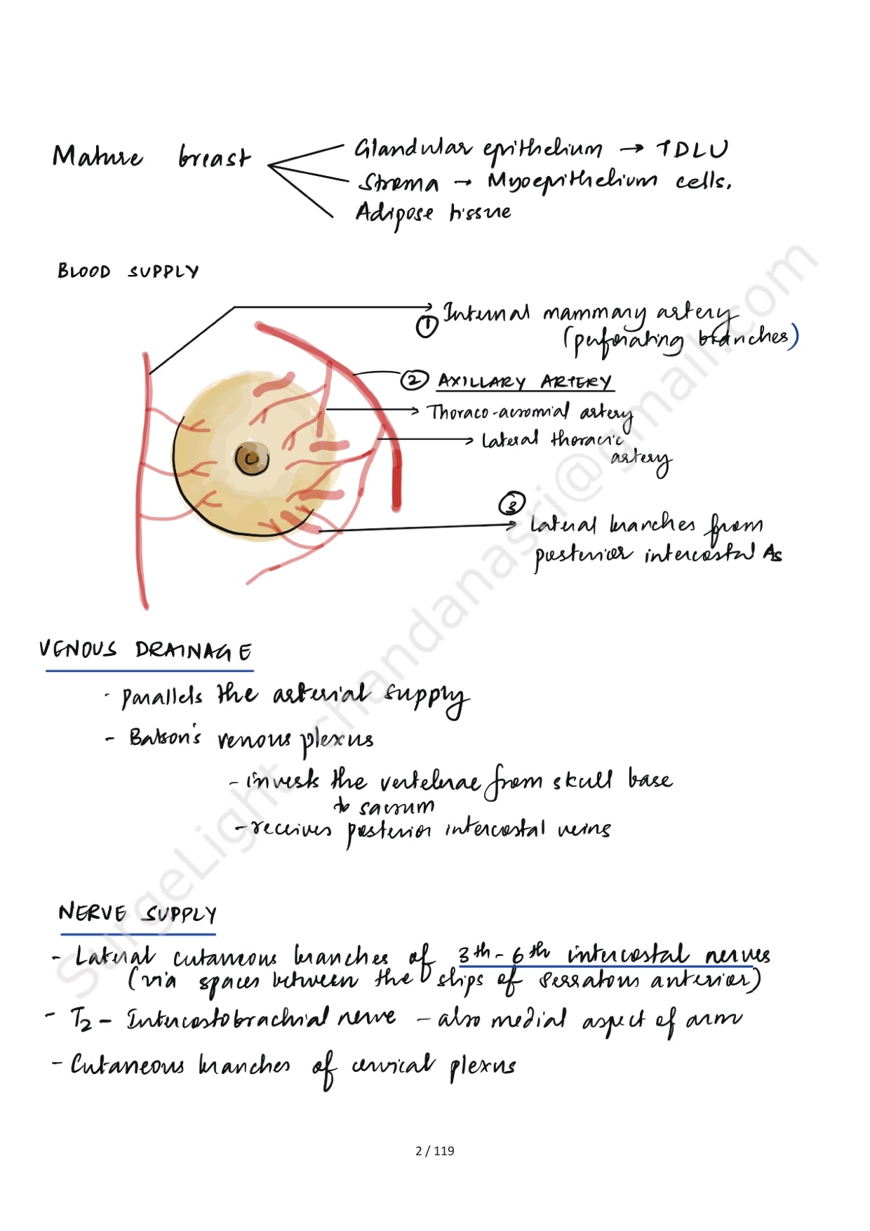 BREAST ANATOMY - Surgery Notes GMC