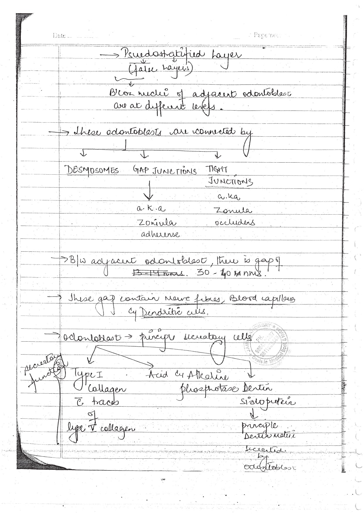 DENTAL ANATOMY AND DENTAL HISTOLOGY - BDS Dental Notes