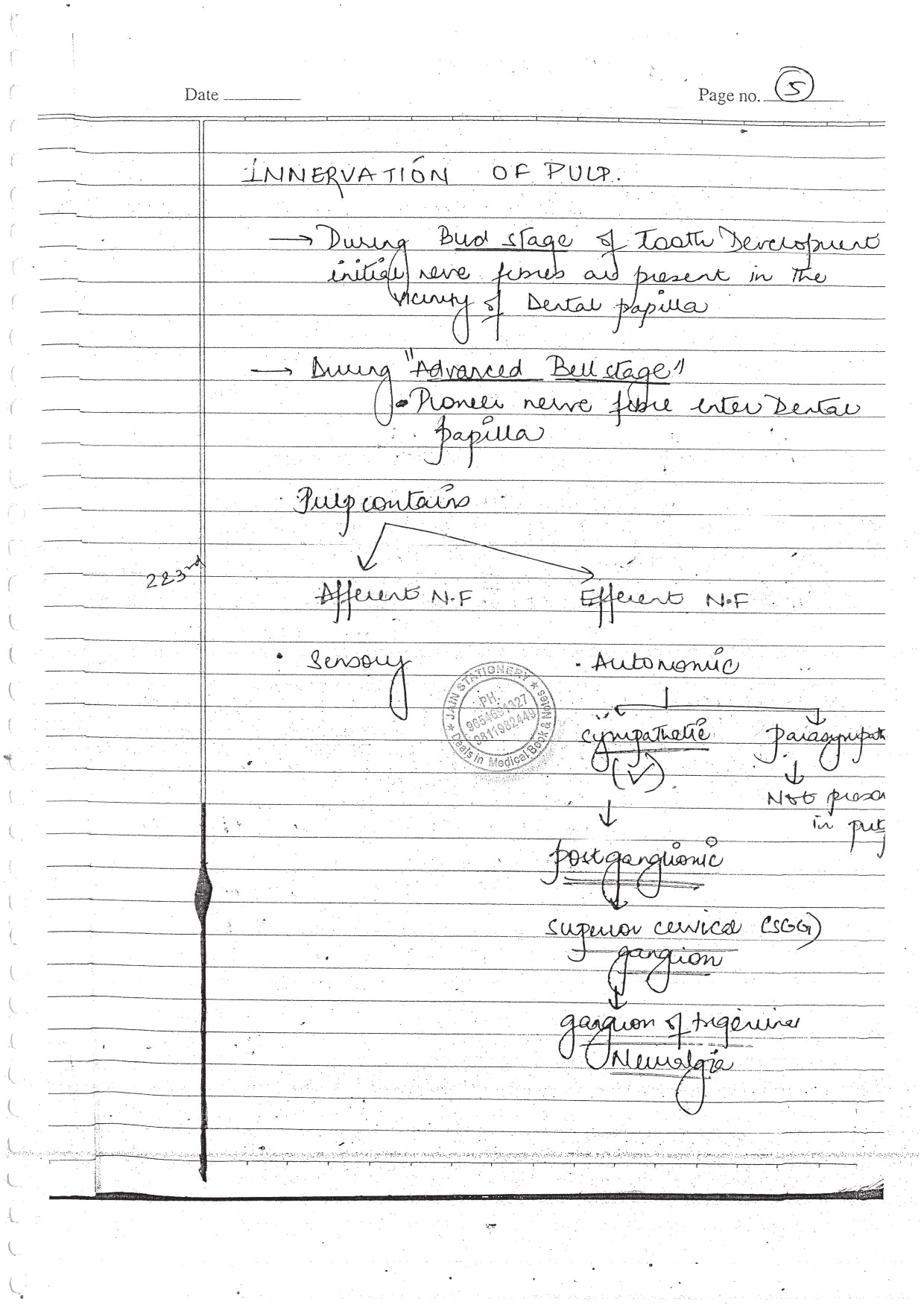 DENTAL ANATOMY AND DENTAL HISTOLOGY - BDS Dental Notes