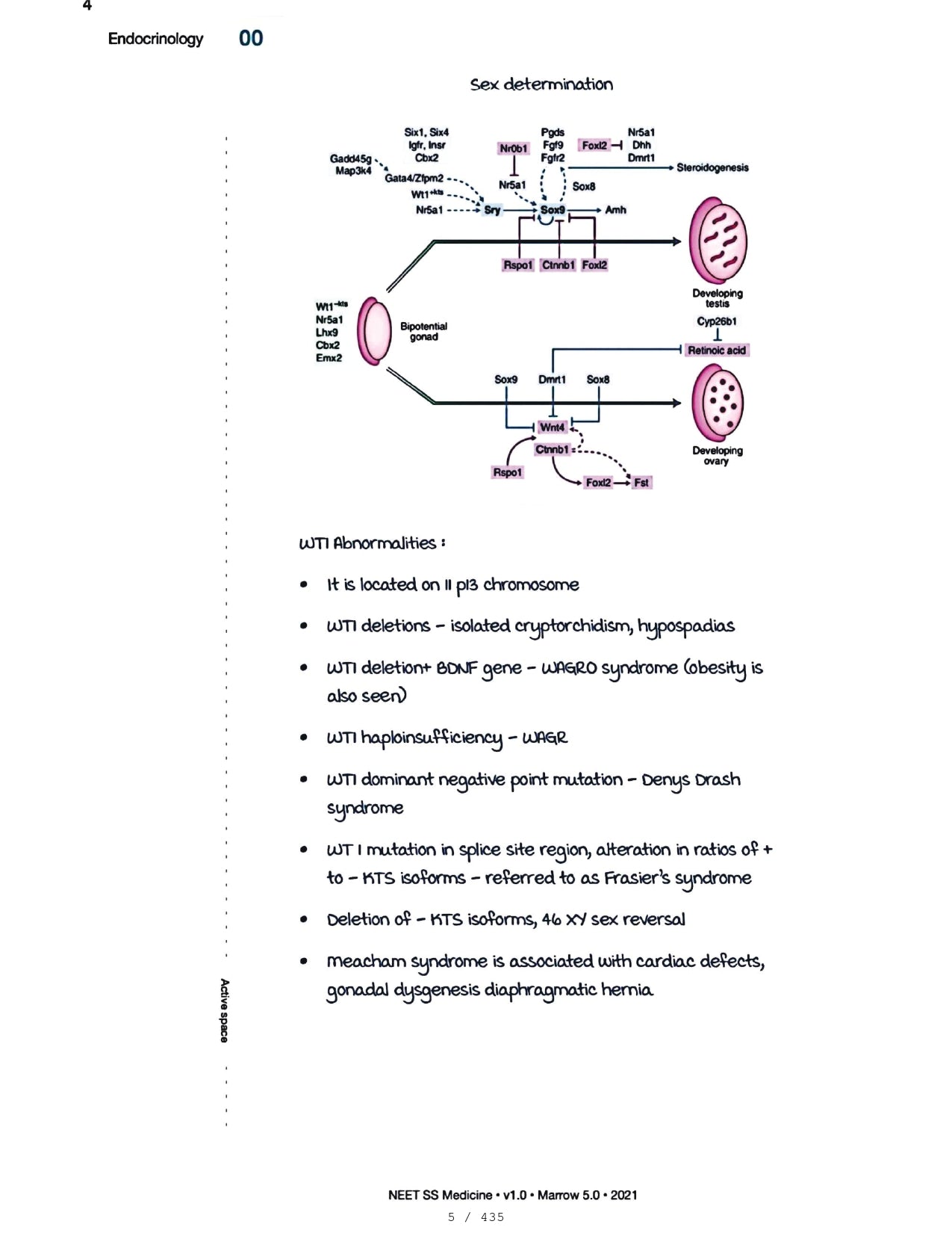 Medicine Neet SS - ENDOCRINOLOGY