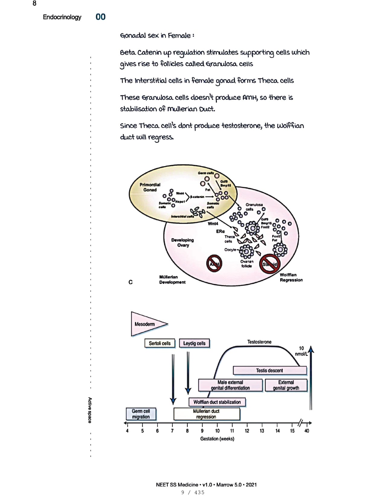 Medicine Neet SS - ENDOCRINOLOGY