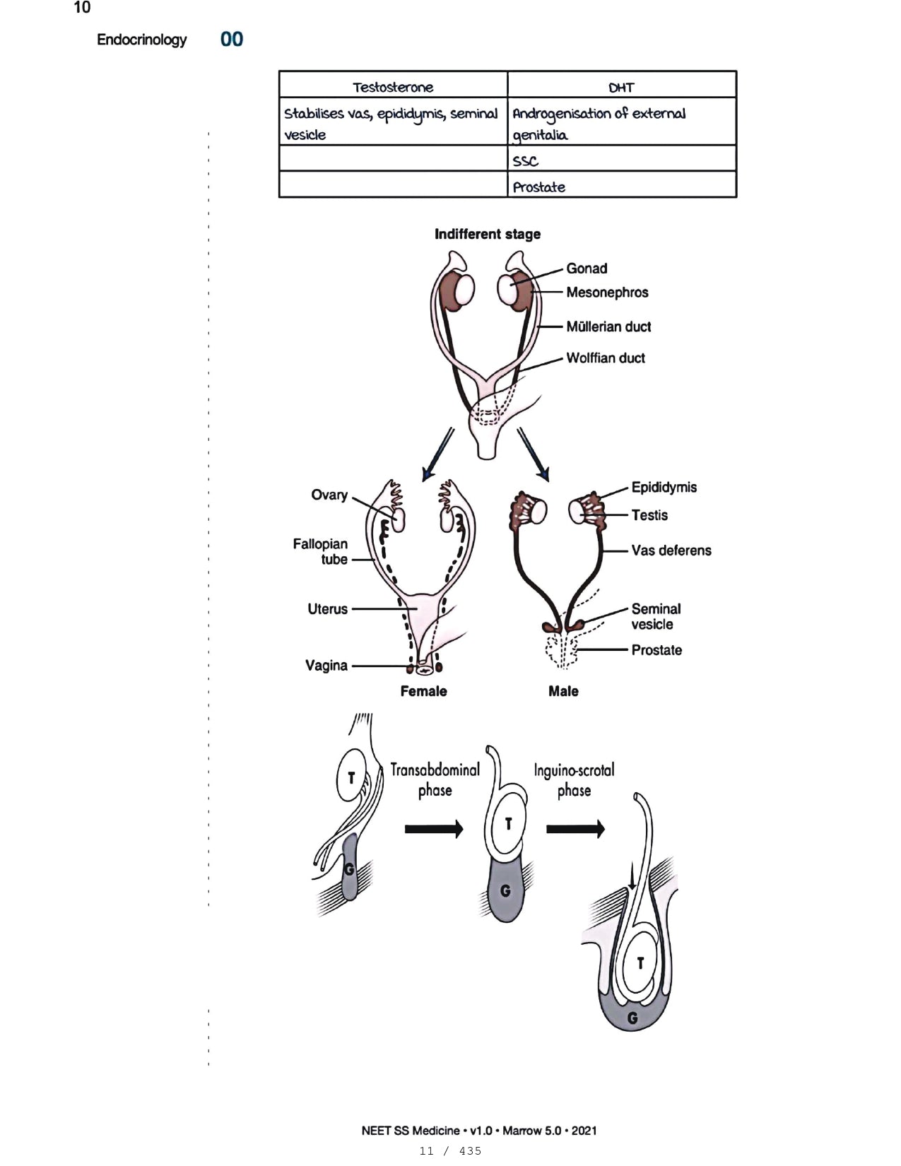 Medicine Neet SS - ENDOCRINOLOGY