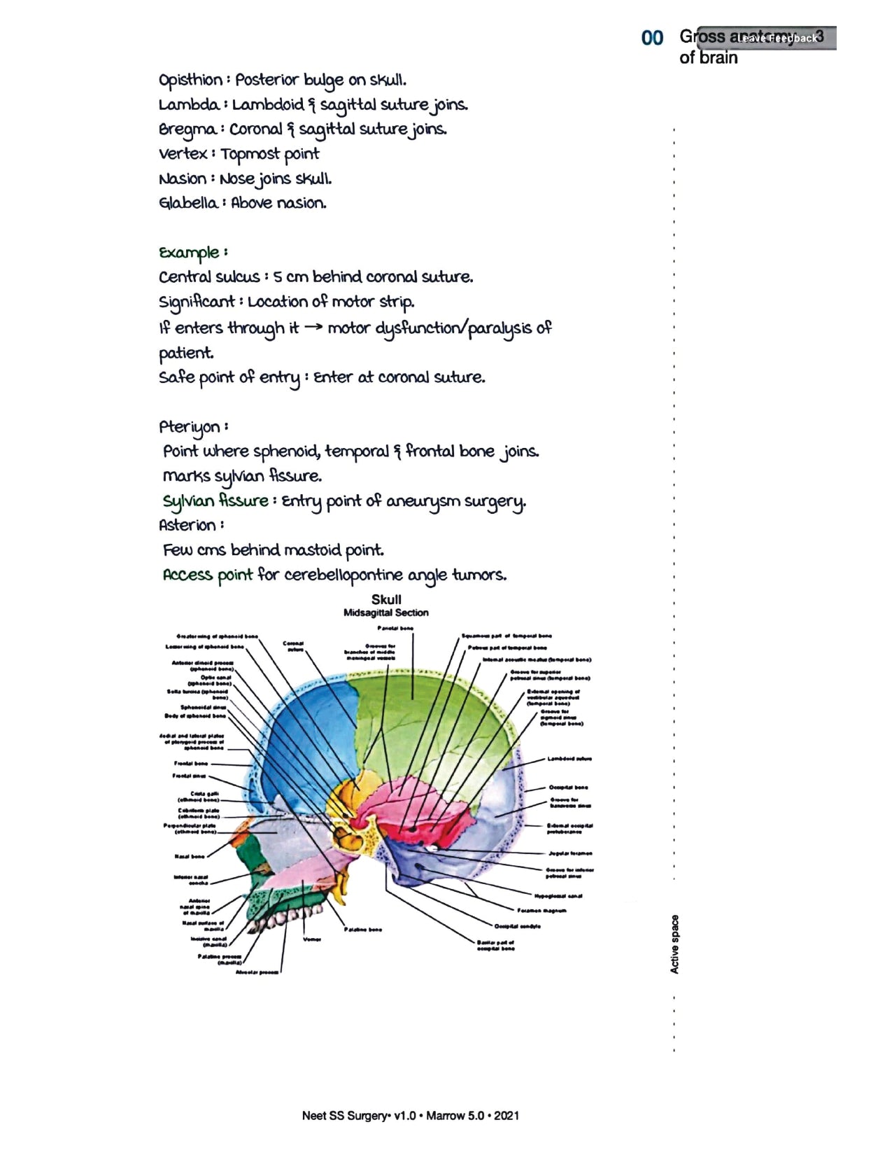 Surgery Neet SS - Neuro Surgery