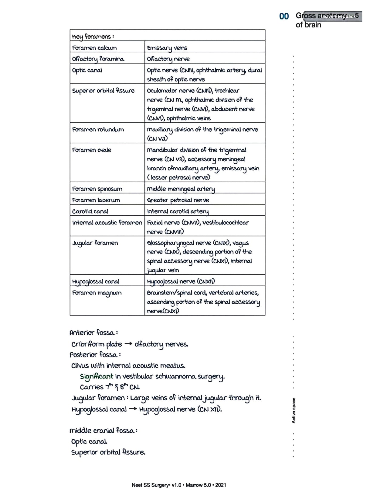 Surgery Neet SS - Neuro Surgery