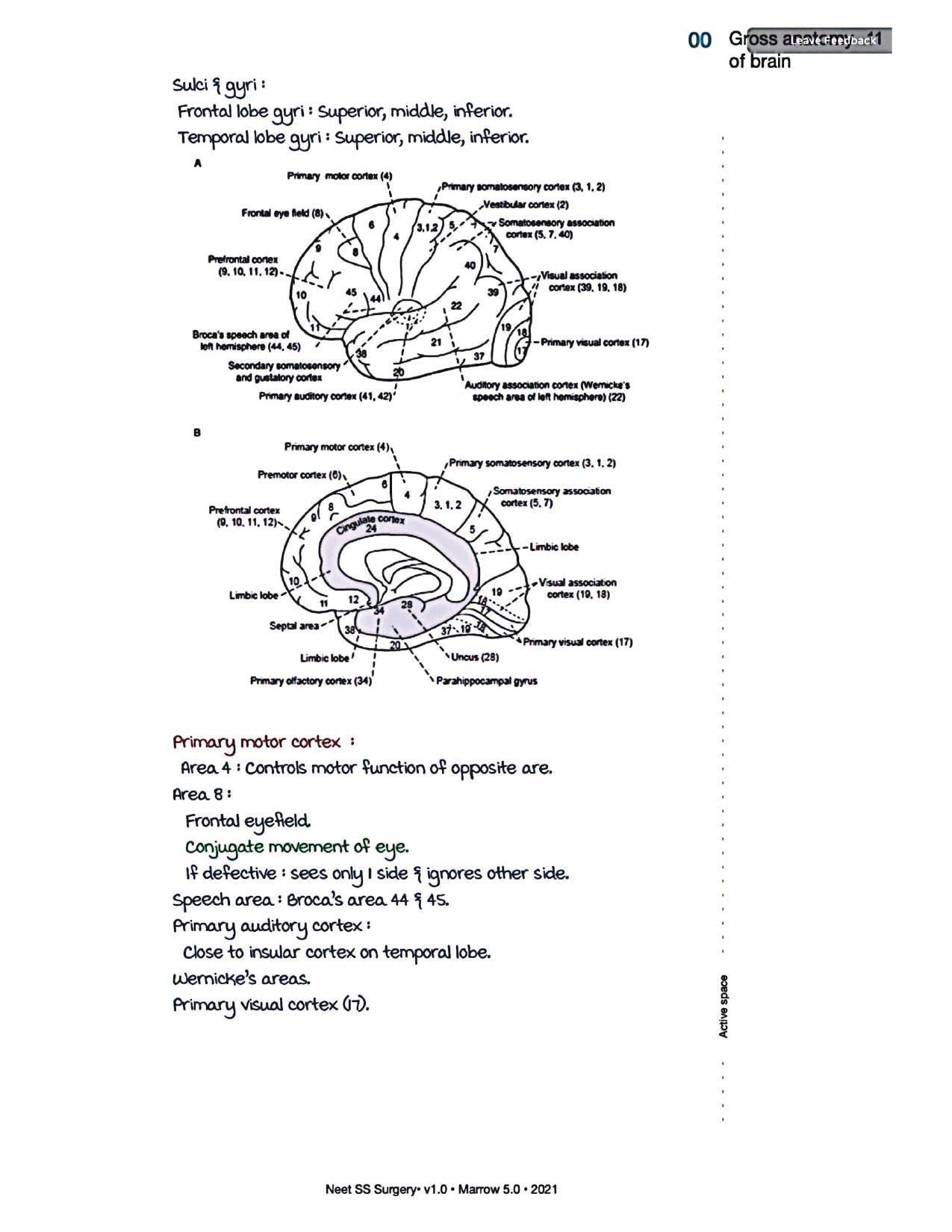 Surgery Neet SS - Neuro Surgery