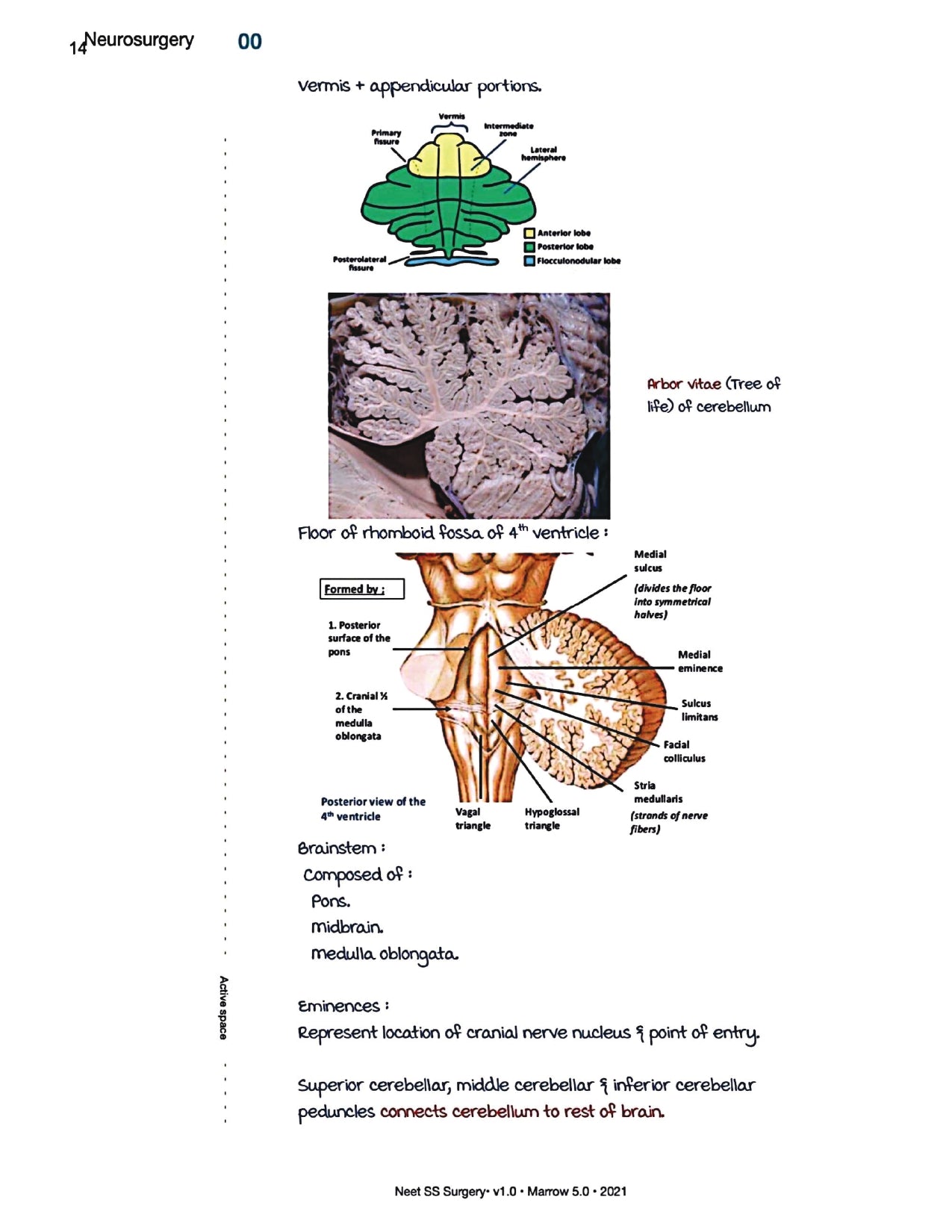 Surgery Neet SS - Neuro Surgery