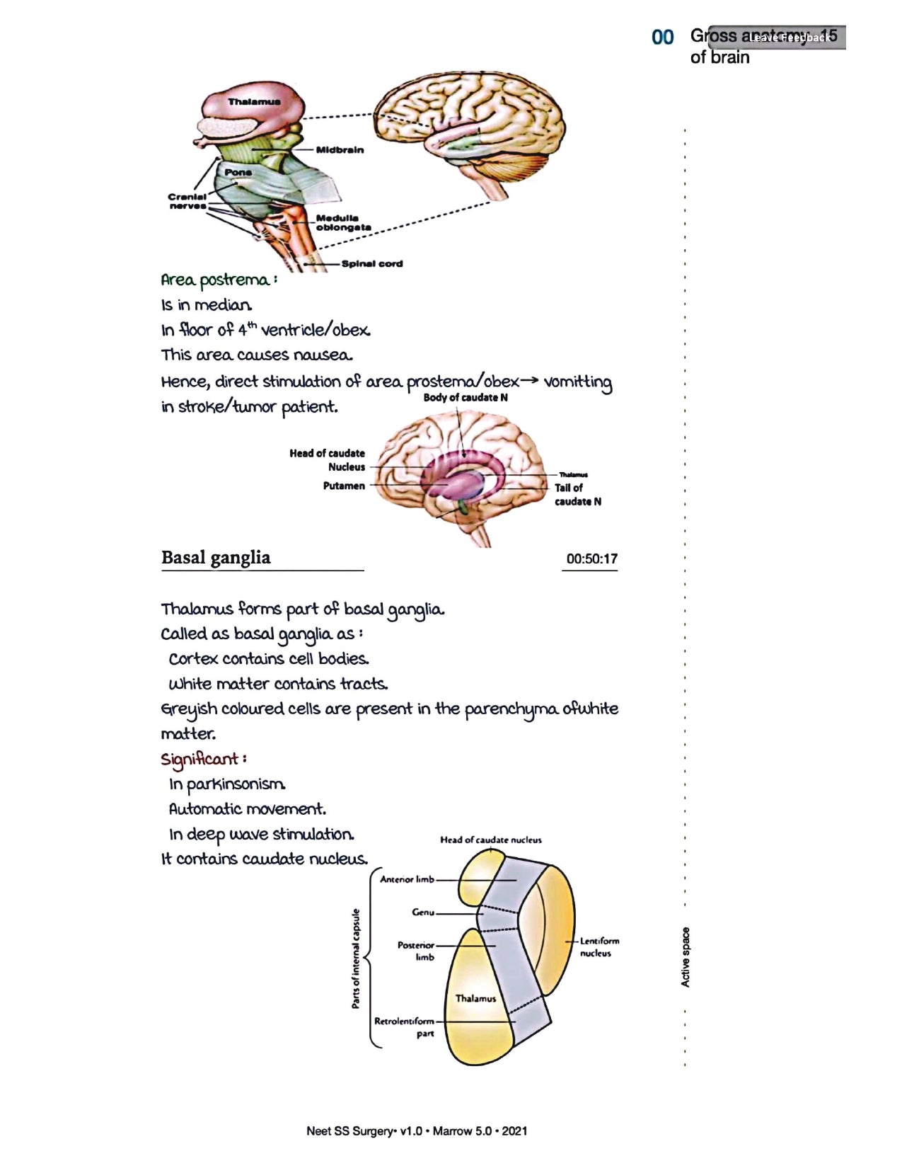 Surgery Neet SS - Neuro Surgery