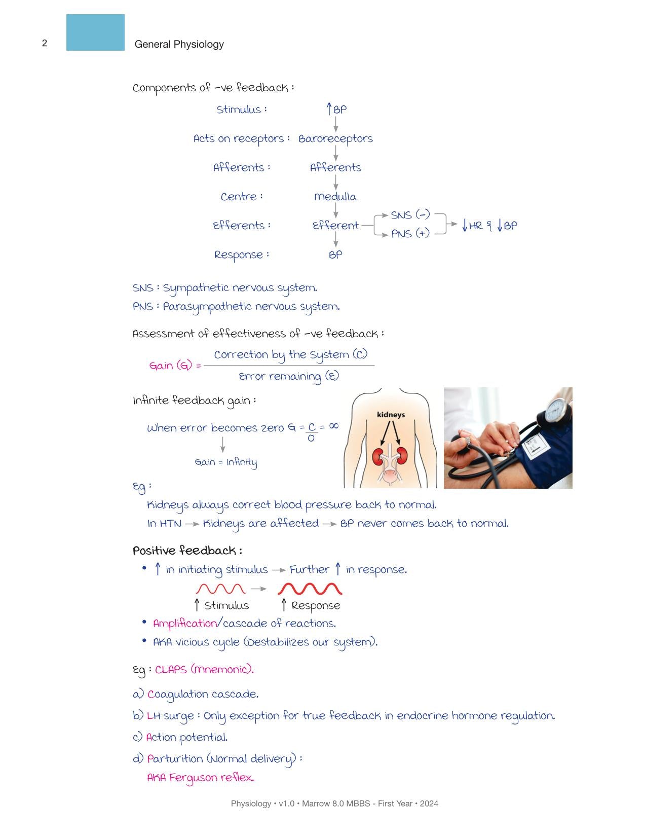 Physiology M.8 MBBS First Year Notes in Colour for NEET-PG (New Offer)