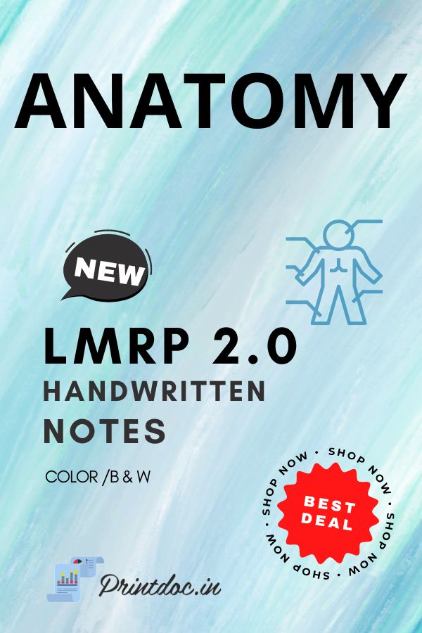 LMRP 2.0 - ANATOMY