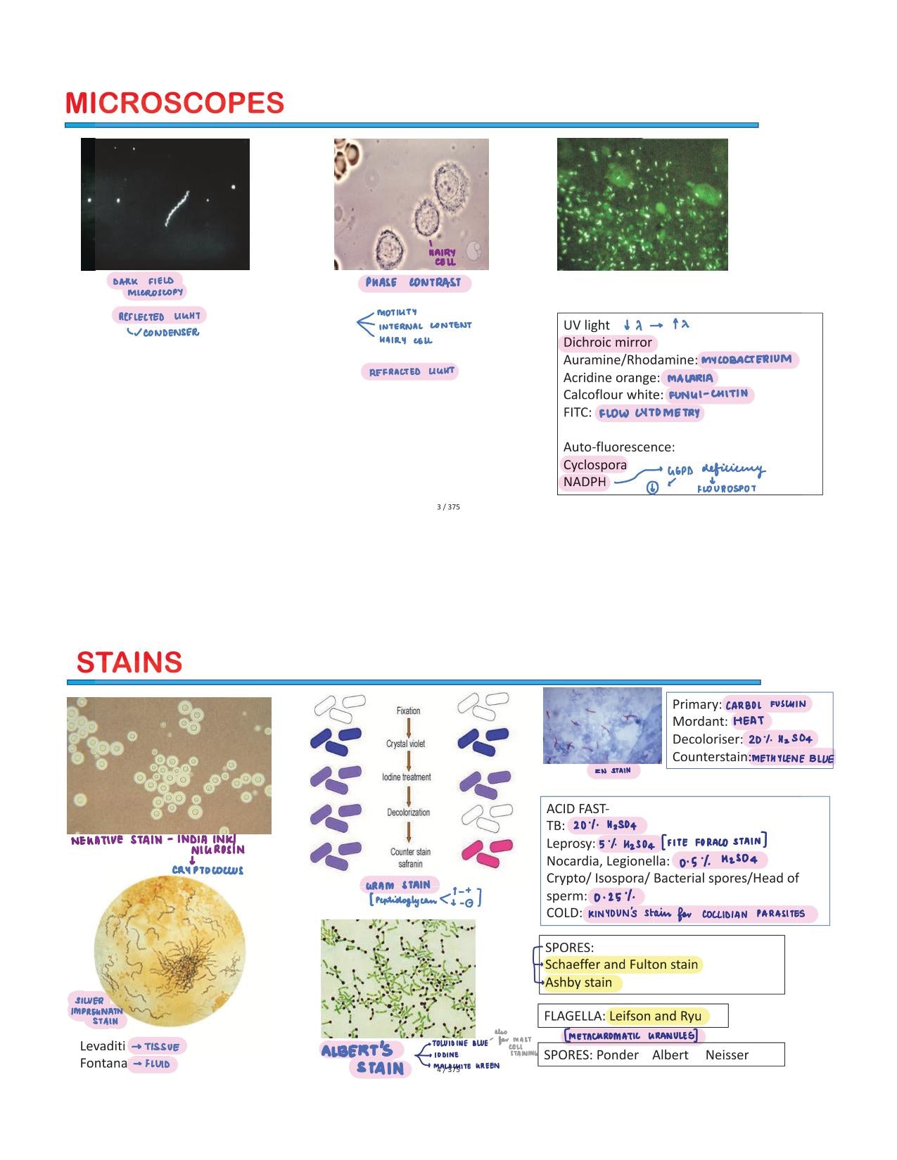 BTR Bonus Annotated by Dr. Zainab Vora