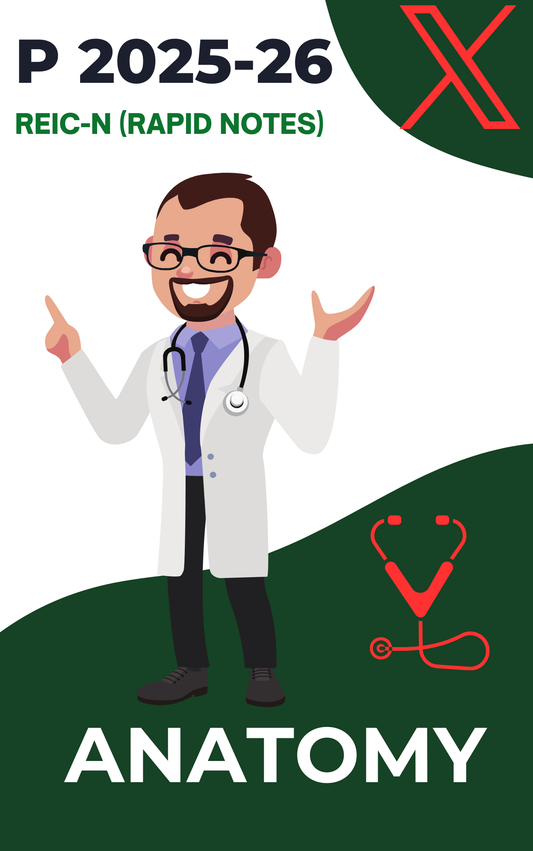 ANATOMY - REIG-N - Rapid Revision Notes