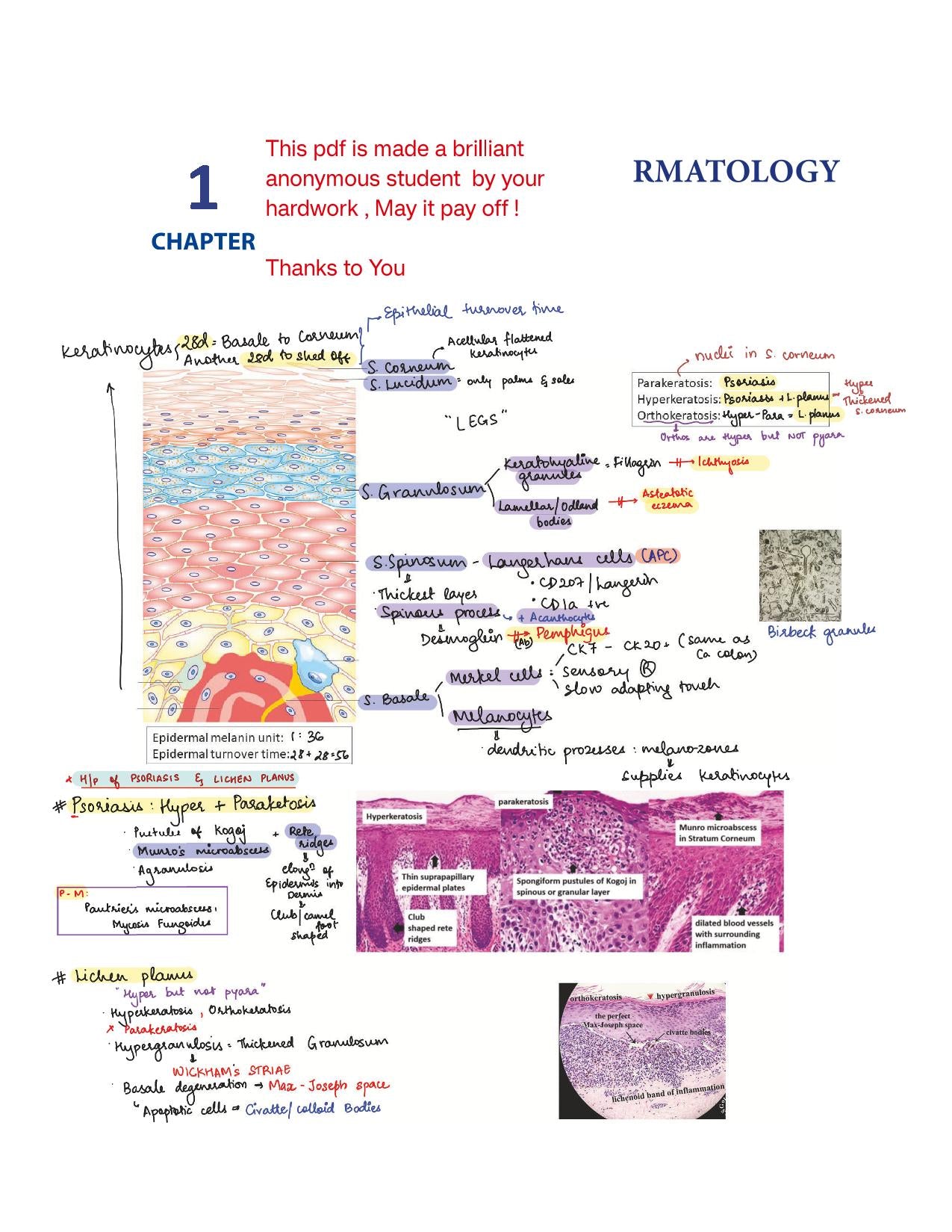 BTR Fully Annotated by Dr. Zainab Vora