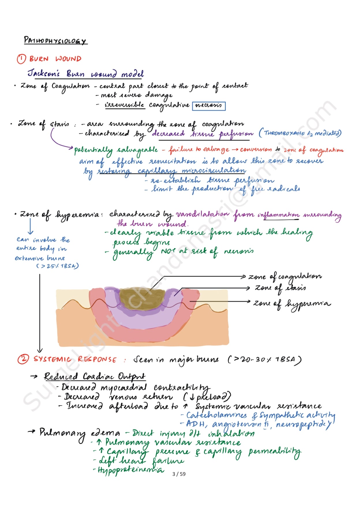 BURNS - Surgery Notes GMC