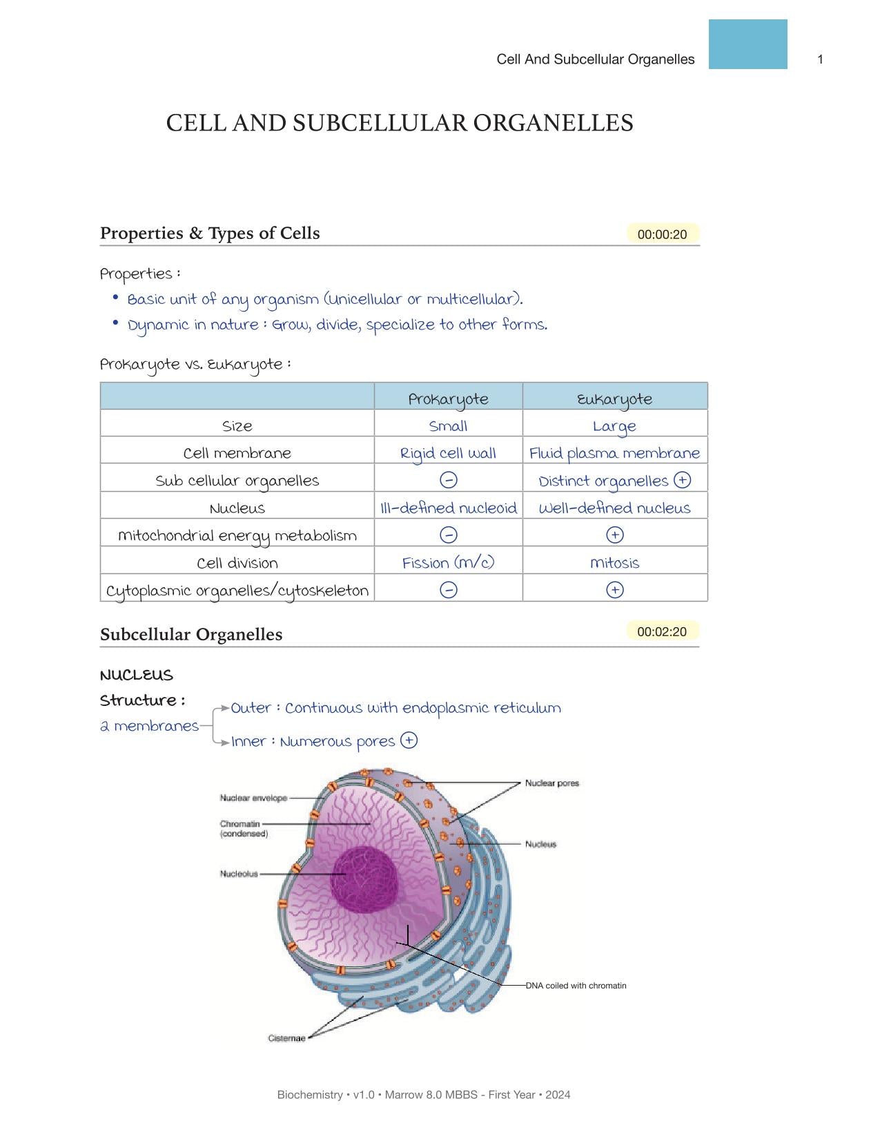 Biochemistry M.8 MBBS First Year Notes in Colour for NEET-PG (New Offer)