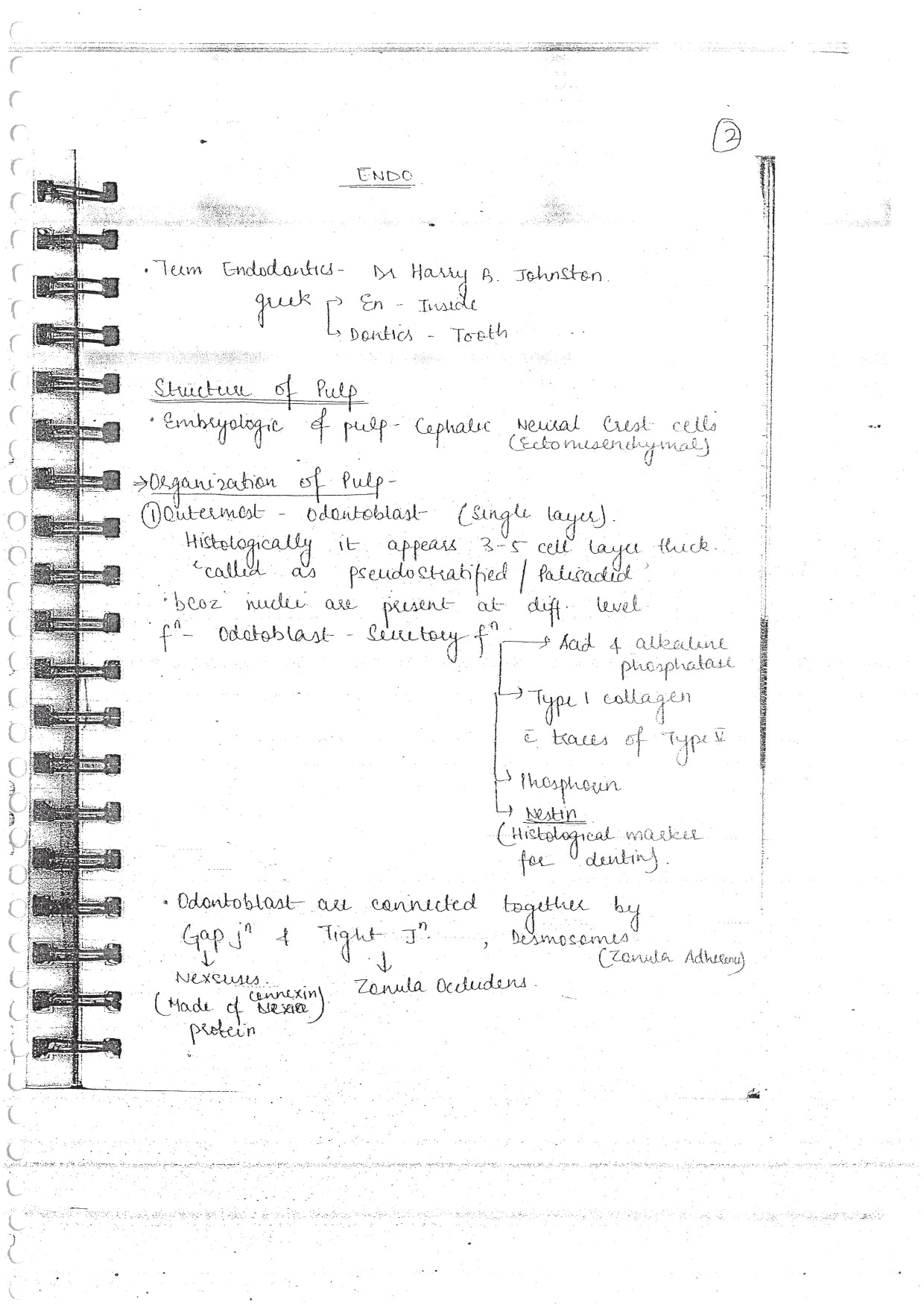 ENDODONTICS - BDS Dental Notes