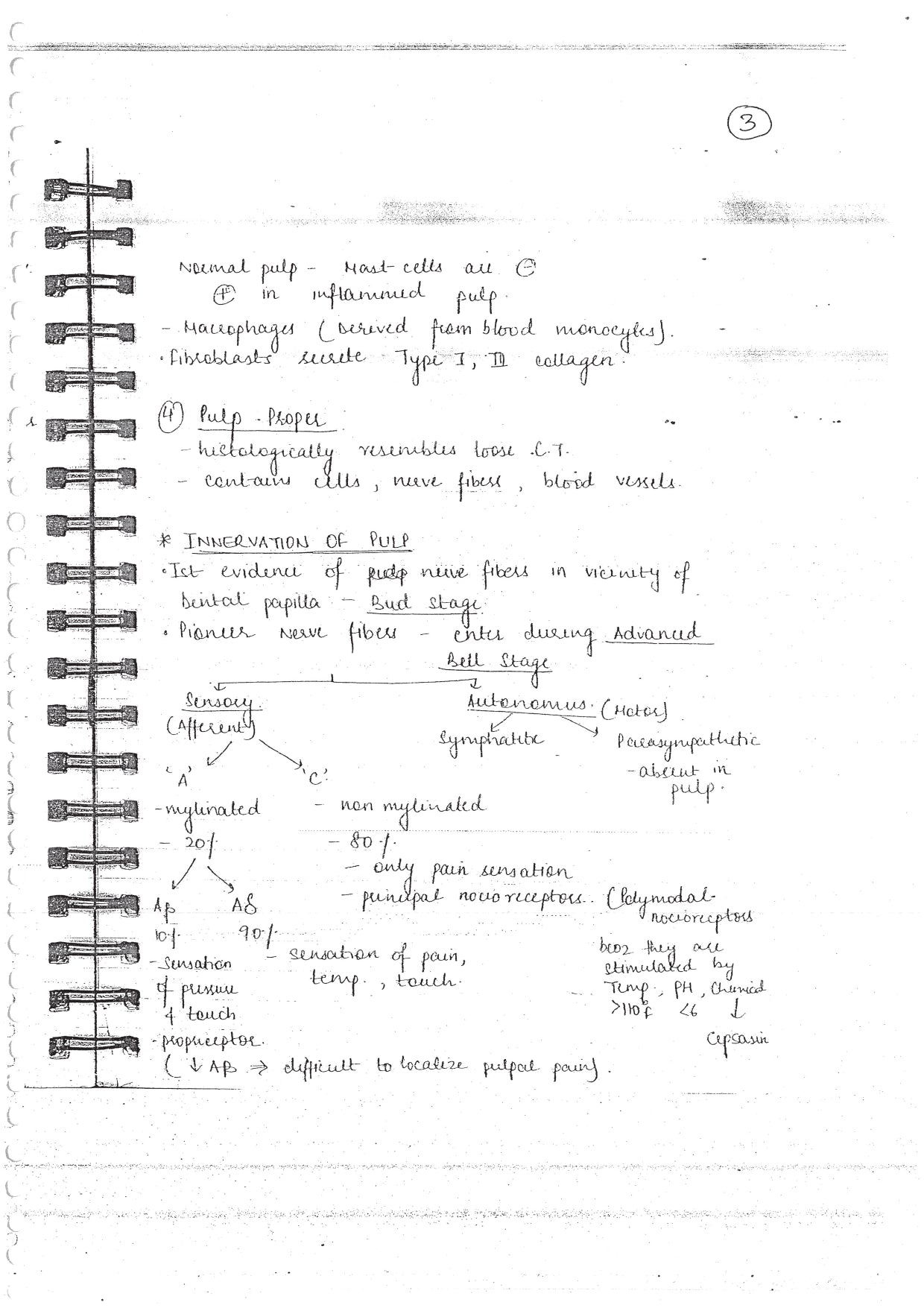 ENDODONTICS - BDS Dental Notes