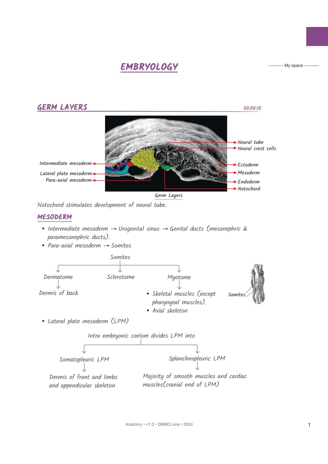 DBMCI One Revision Notes in 6 Volumes fully Colour
