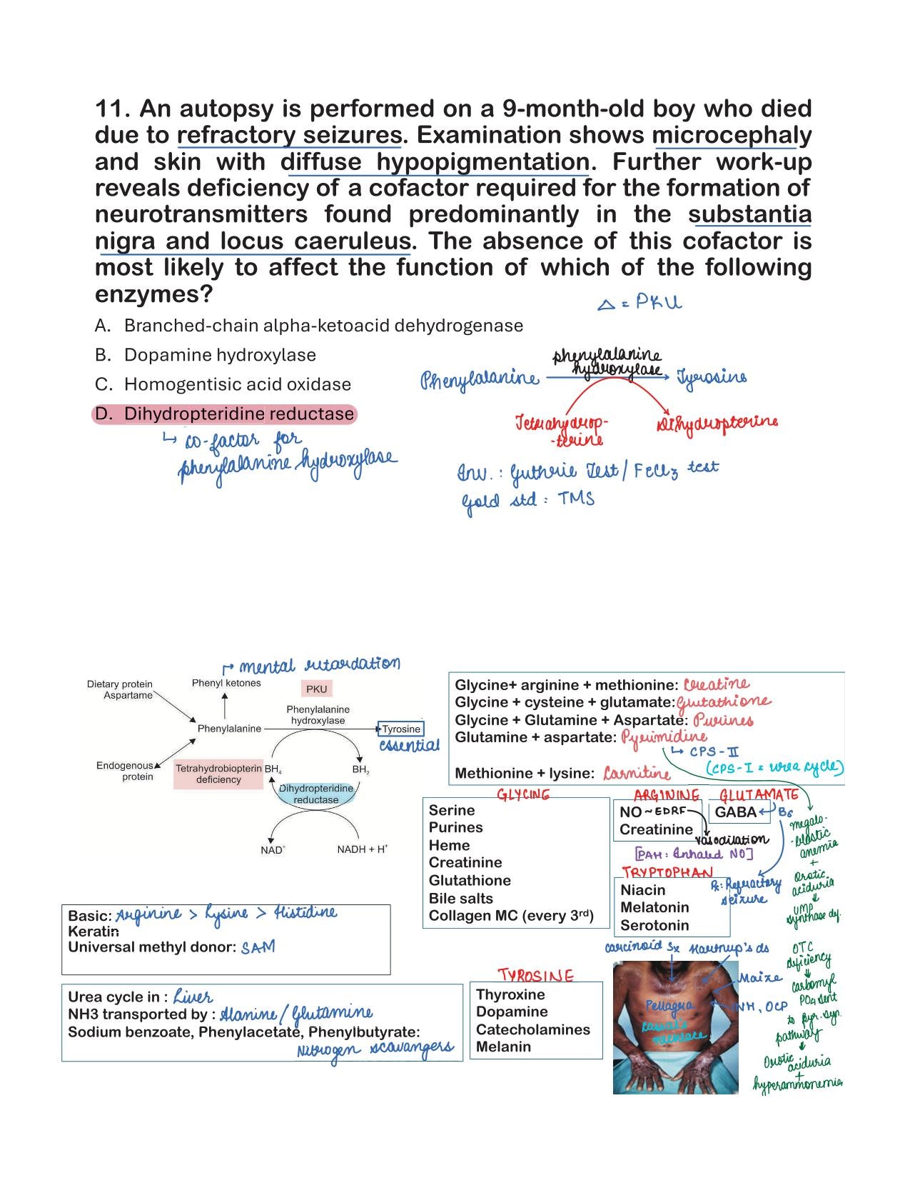 BTR Mega Bonus Annotated by Dr. Zainab Vora