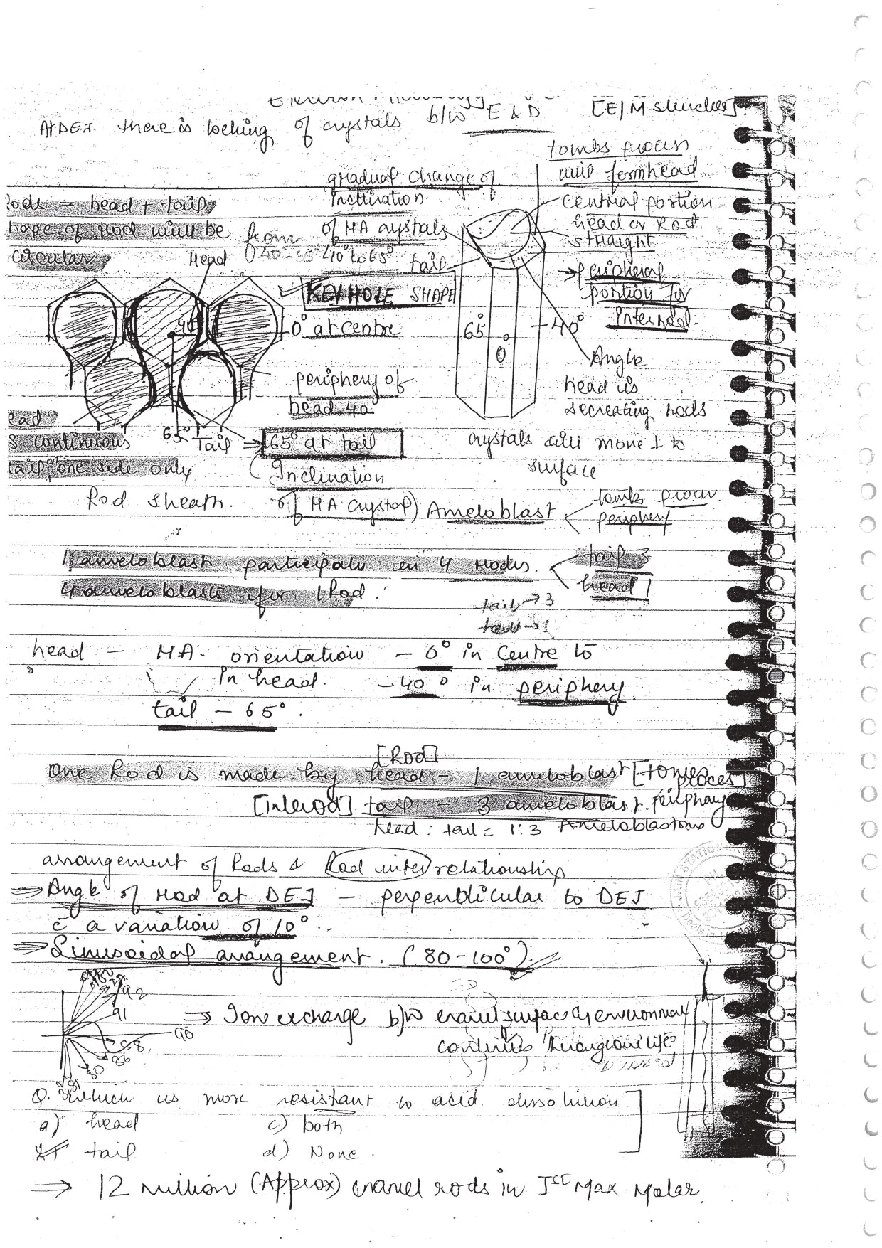 GENERAL ANATOMY - BDS Dental Notes