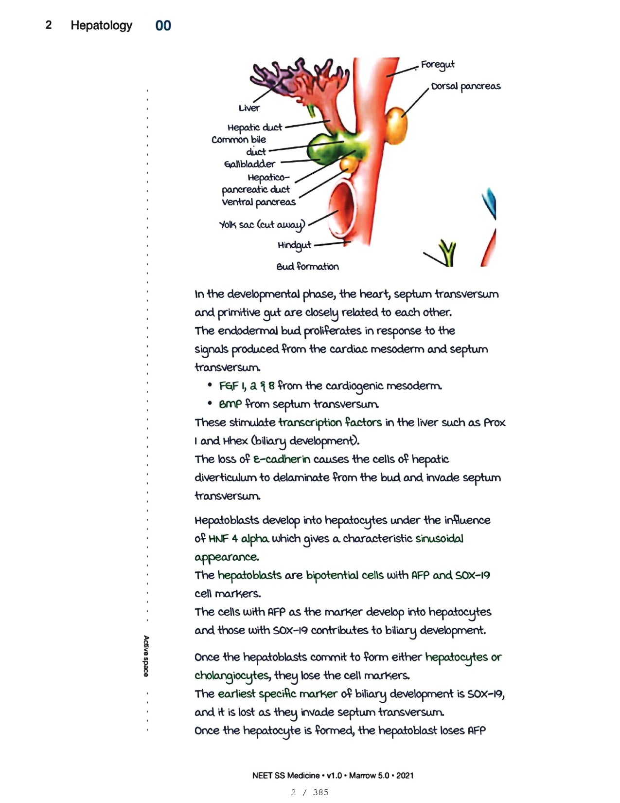 Medicine Neet SS - HEPATOLOGY