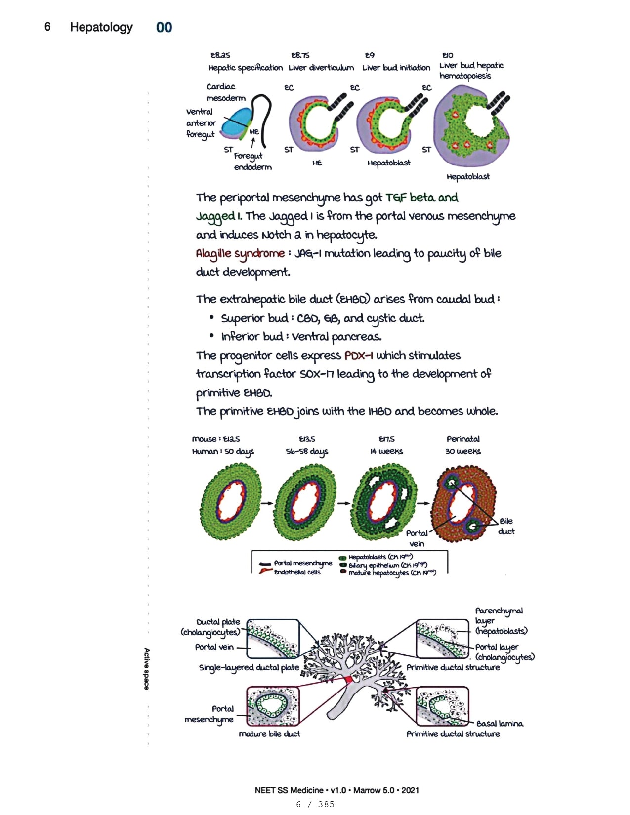 Medicine Neet SS - HEPATOLOGY