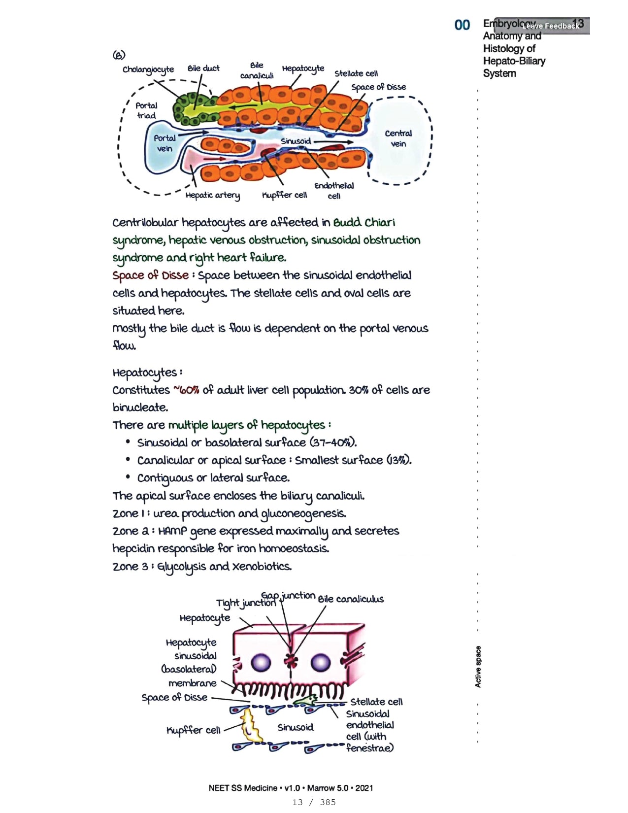 Medicine Neet SS - HEPATOLOGY