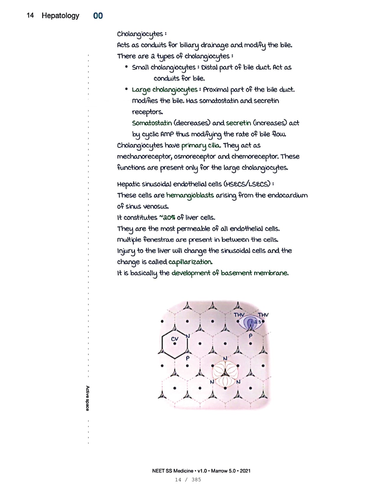 Medicine Neet SS - HEPATOLOGY