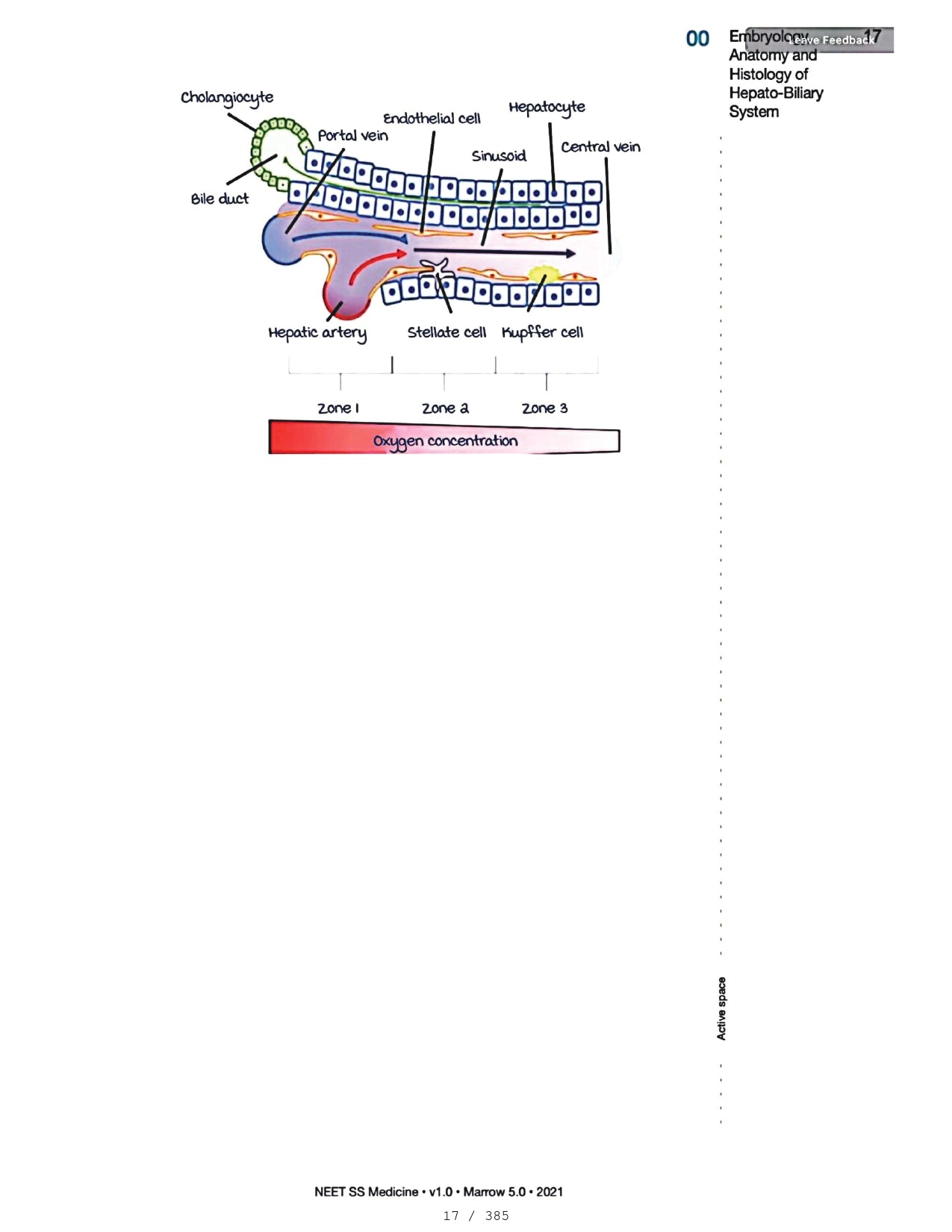 Medicine Neet SS - HEPATOLOGY