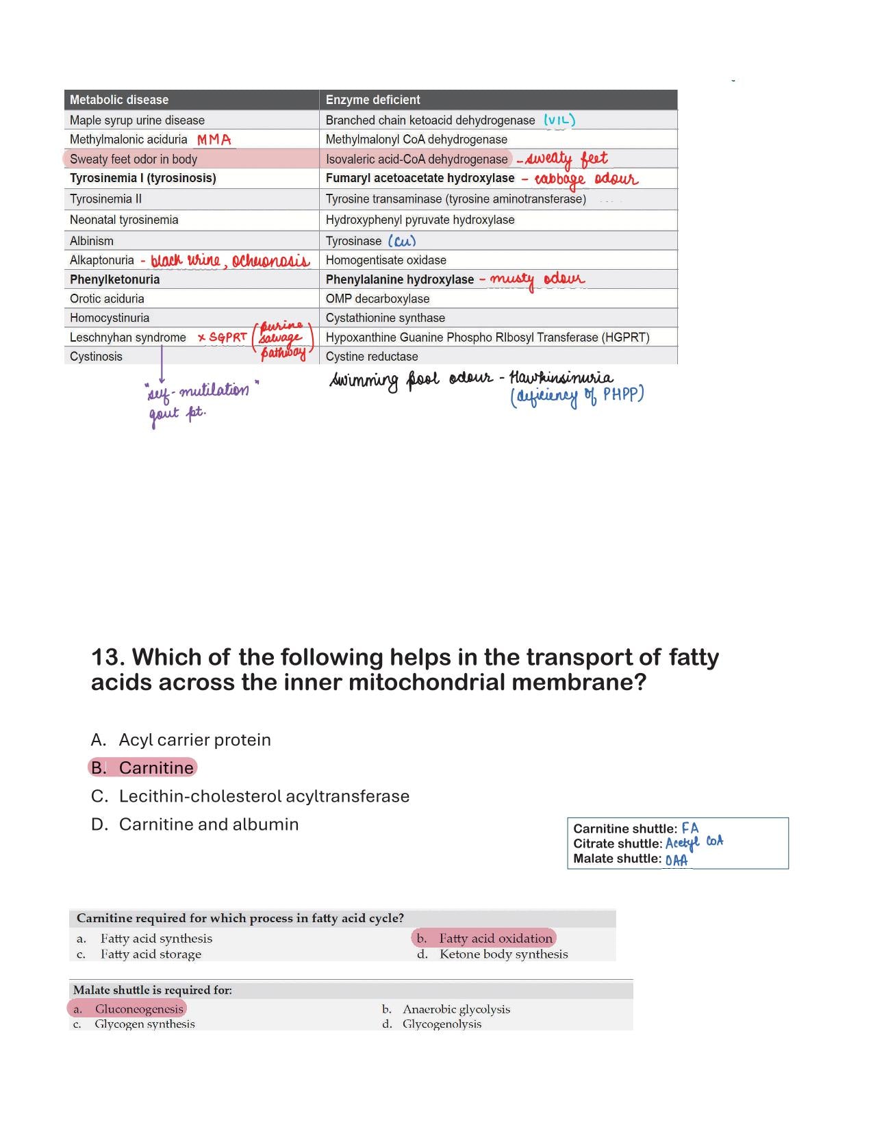 BTR Mega Bonus Annotated by Dr. Zainab Vora