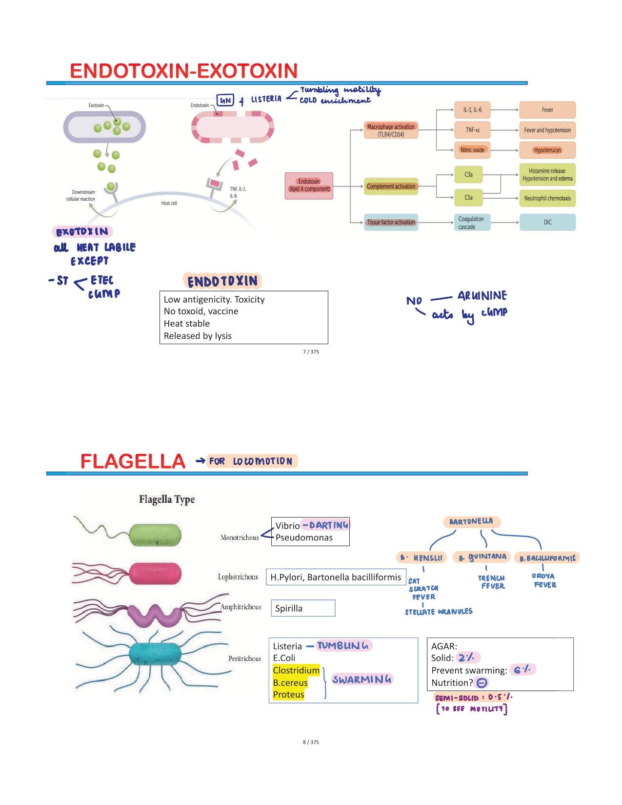 BTR Bonus Annotated by Dr. Zainab Vora