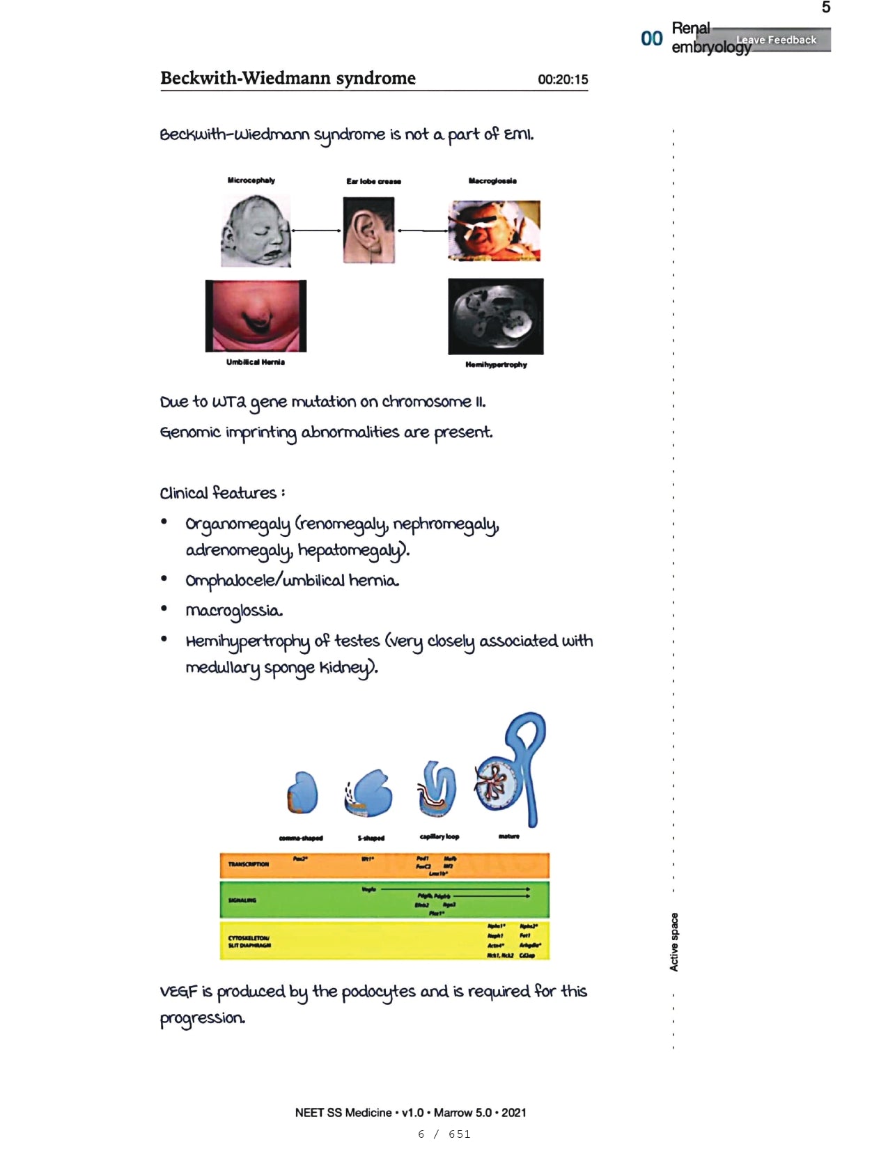 Medicine Neet SS - NEPHROLOGY