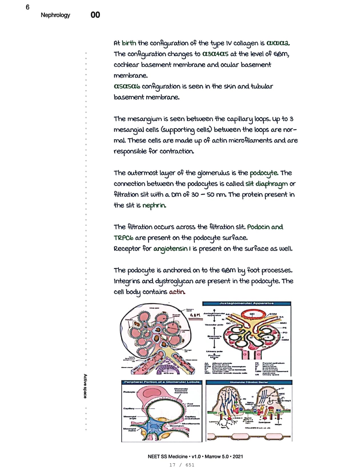 Medicine Neet SS - NEPHROLOGY