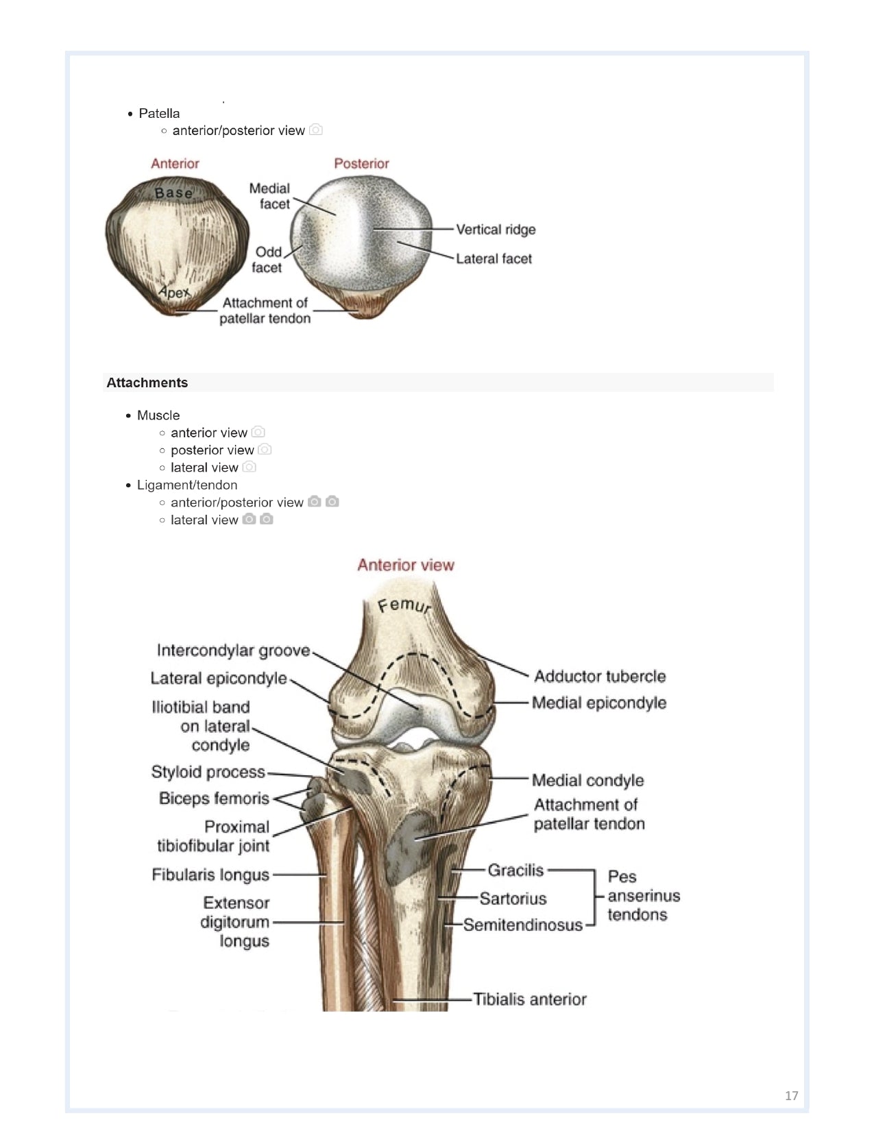 Orthobullets Notes - Vol 1