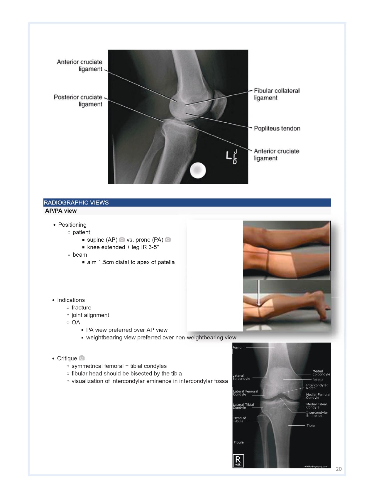 Orthobullets Notes - Vol 1