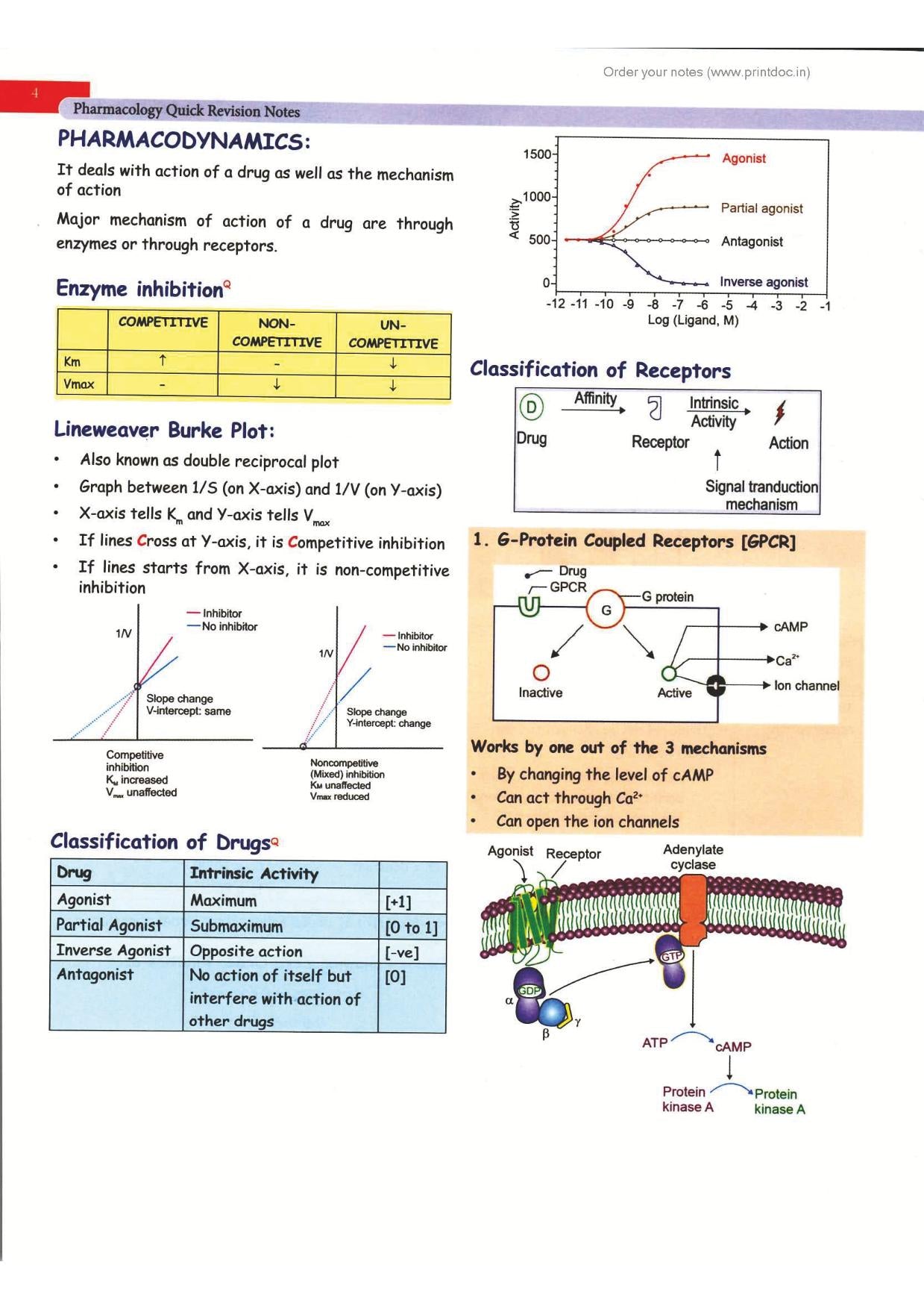 Cerebellum 2.0 Pharmacology Revision Notes by Dr. Zainab Vora (New Offer)