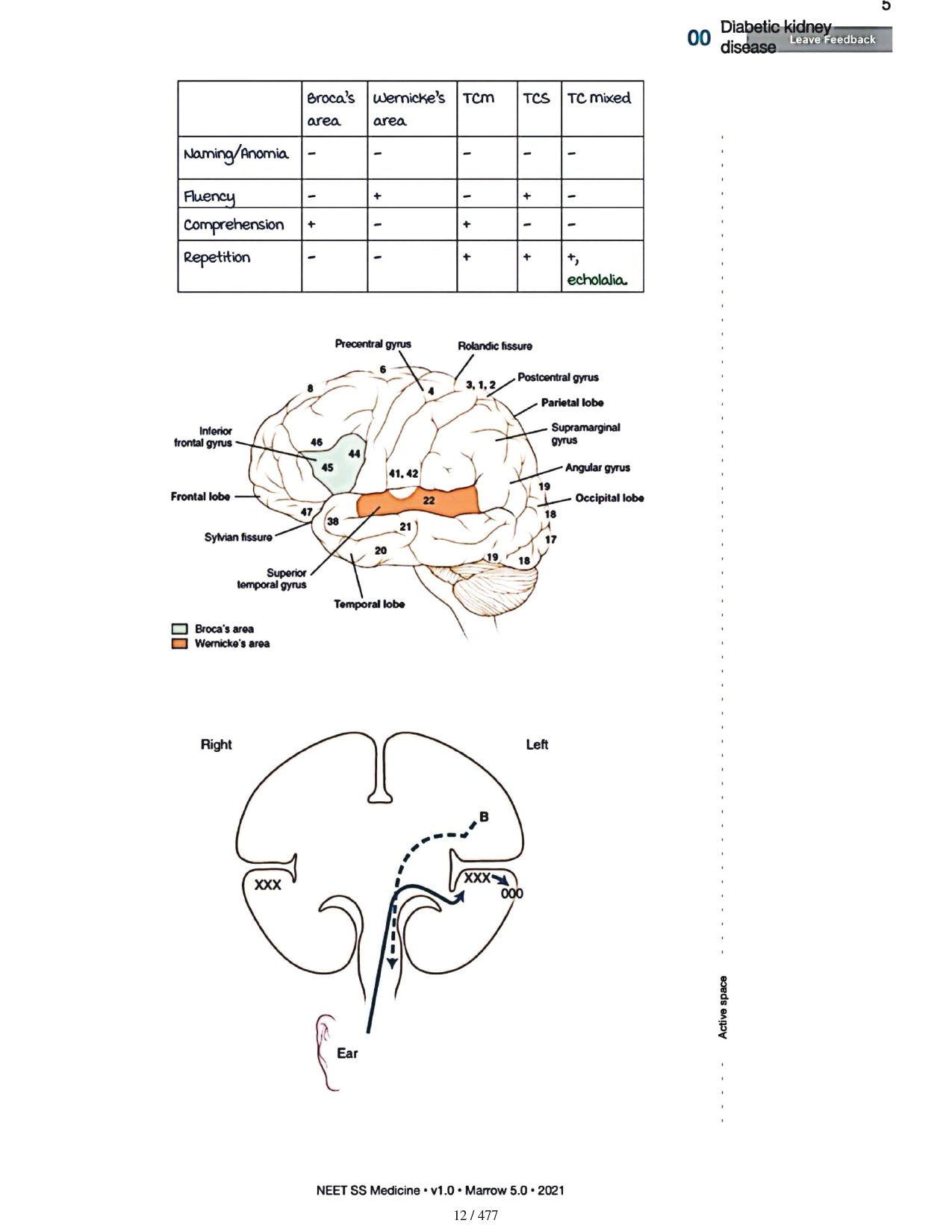 Medicine Neet SS - NEUROLOGY