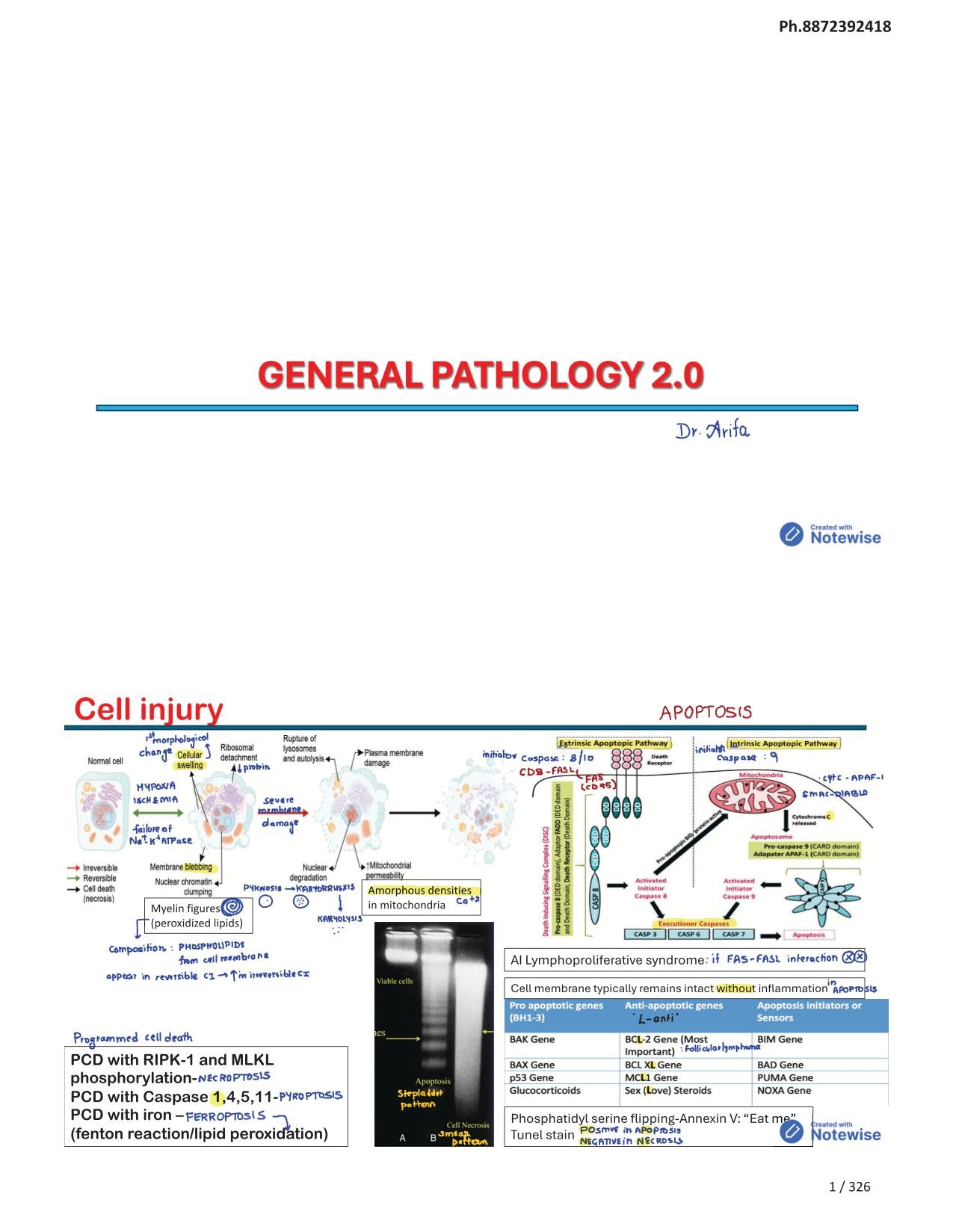 BTR 2.0 Annotated By Dr. Zainab Vora