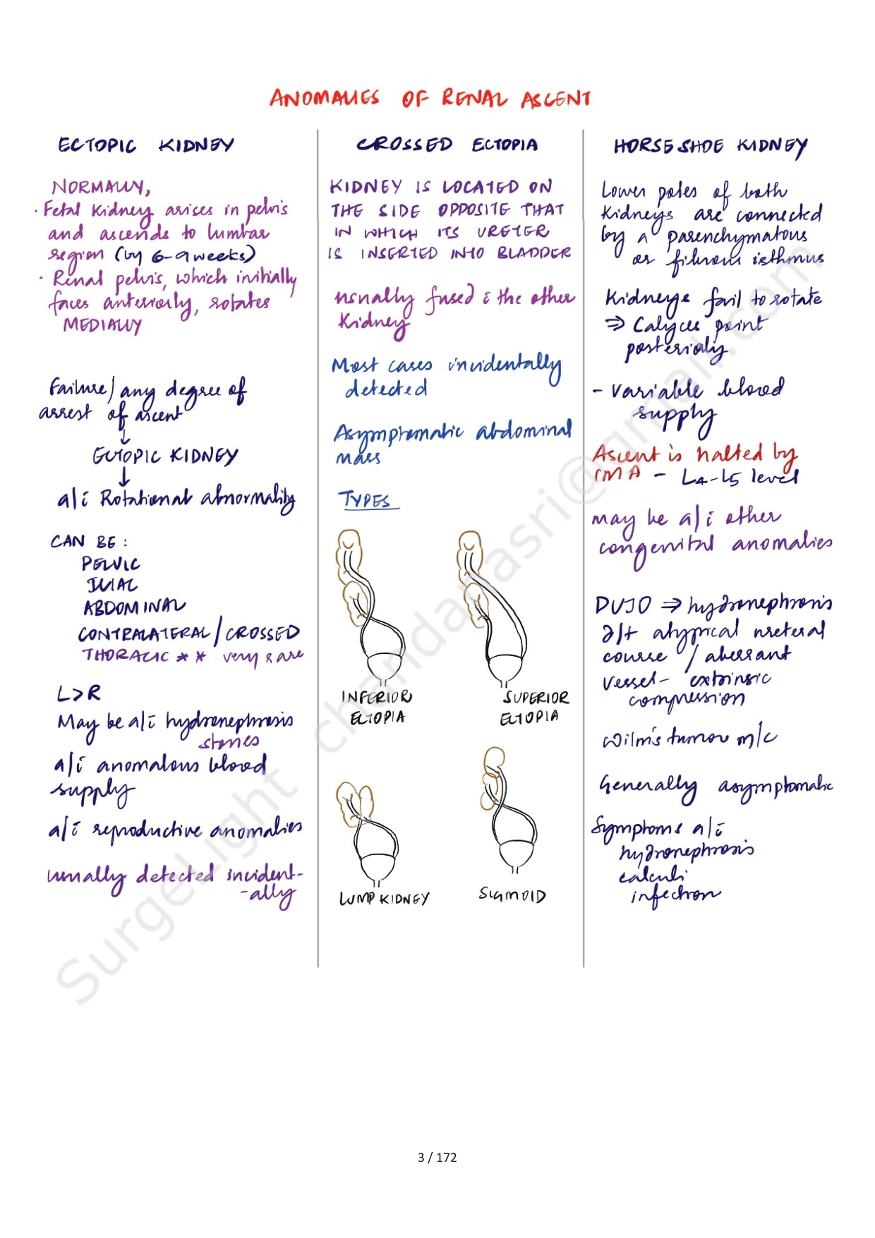 KIDNEY & URETER - Surgery Notes GMC