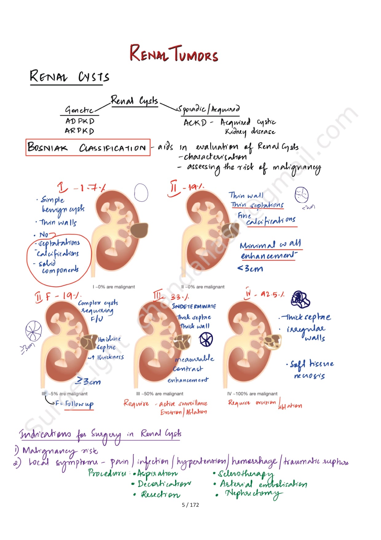 KIDNEY & URETER - Surgery Notes GMC